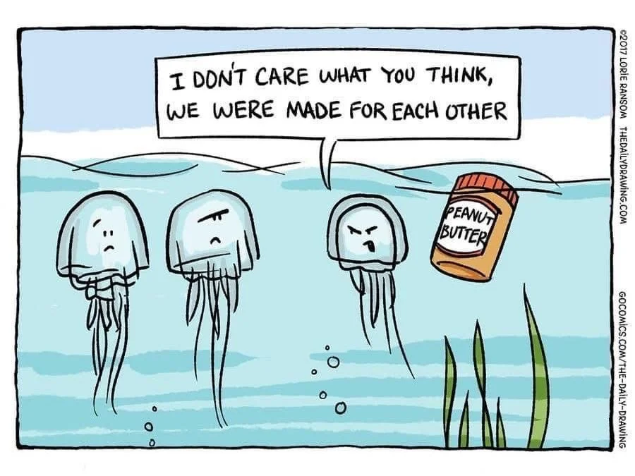Some people find their soulmate.
Some people find peanut butter.

Either way, don&rsquo;t let anyone stand in the way of true love. ❤️🧡💛💚💙💜🖤🤎🏳️&zwj;⚧️🏳️&zwj;🌈
