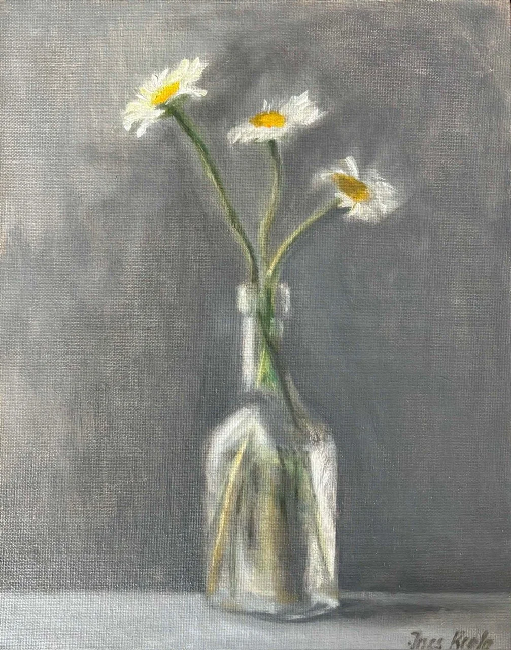 Daisies
