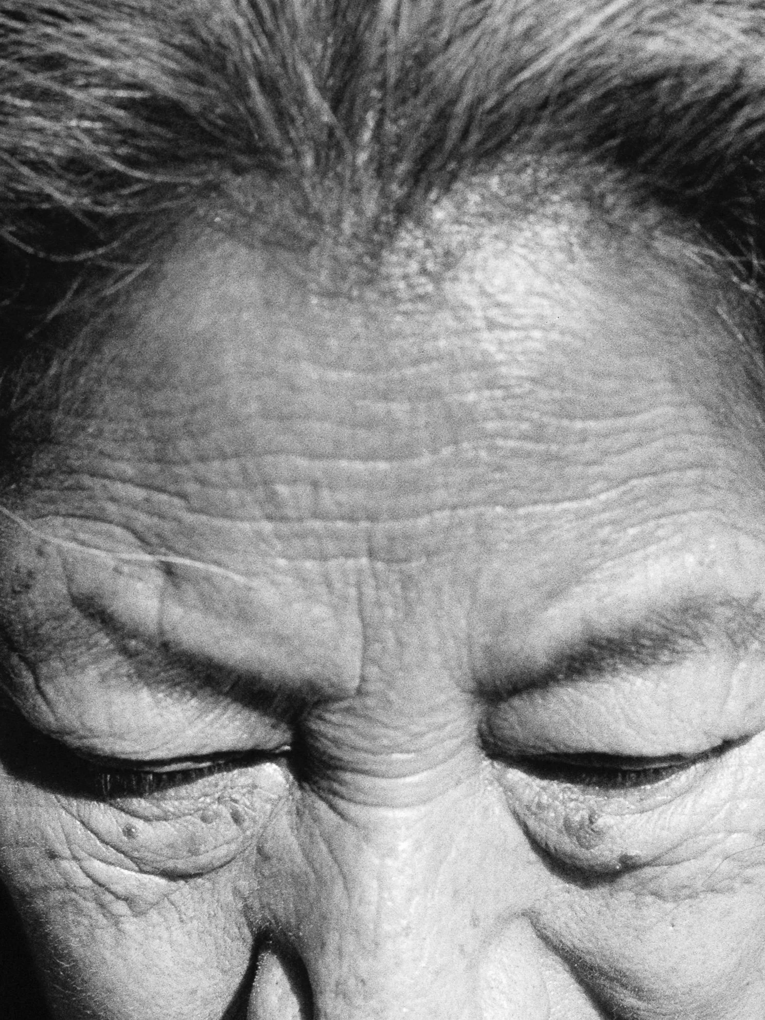 LucianaM_HP5(2804)_32.jpg