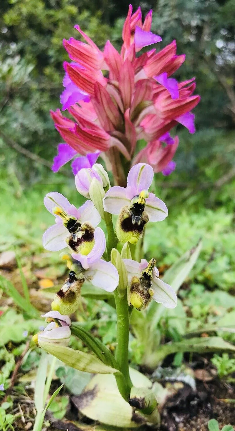 Beginning in the middle