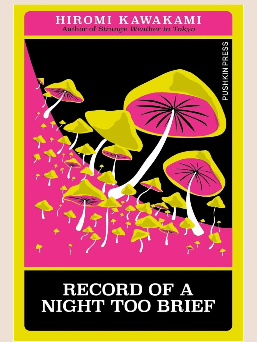 Cover of Record of a Night Too Brief by Hiromi Kawakami, translated by Lucy North, published by Pushkin Press
