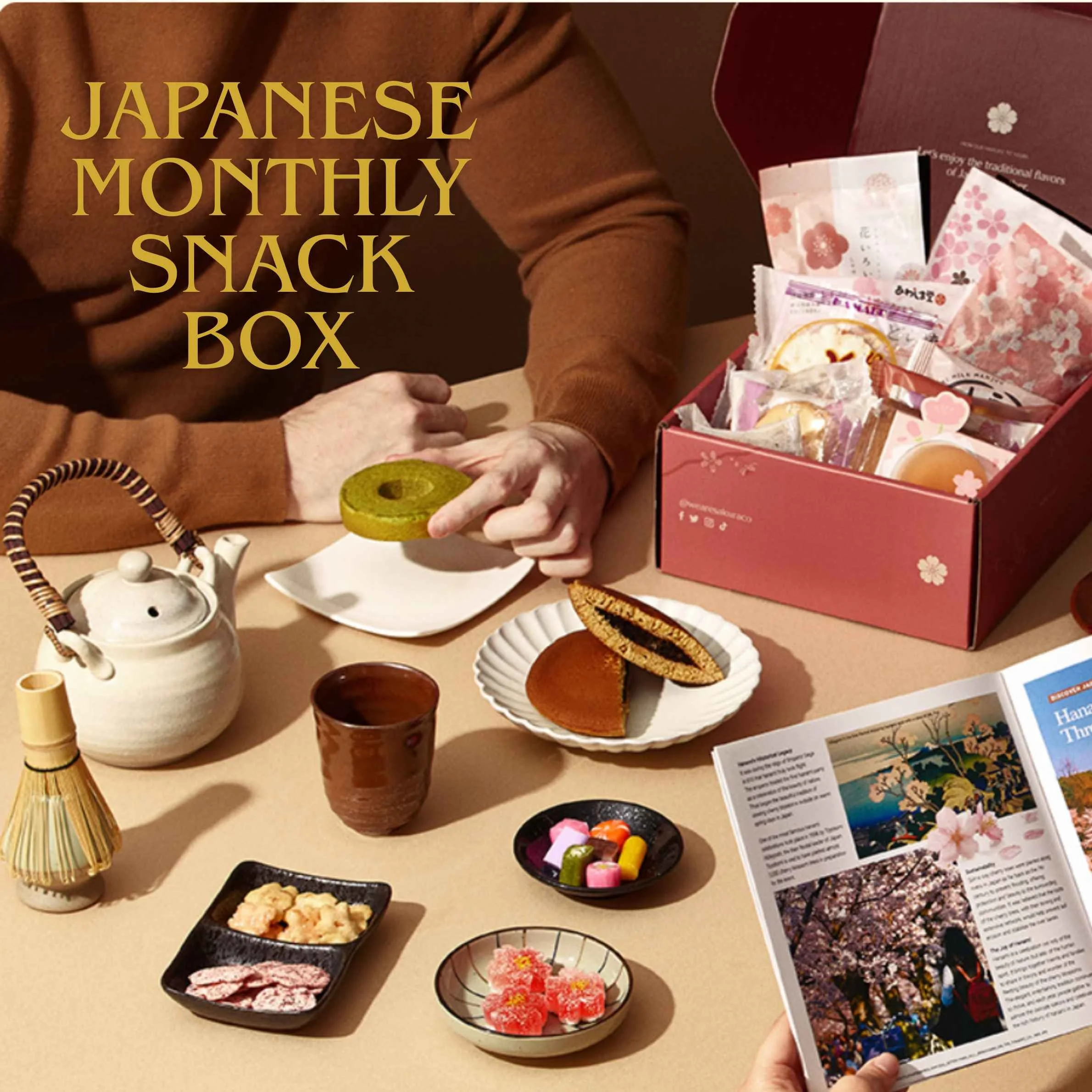 /food-and-travel/sakuraco-review-discovering-mt-fuji-box
