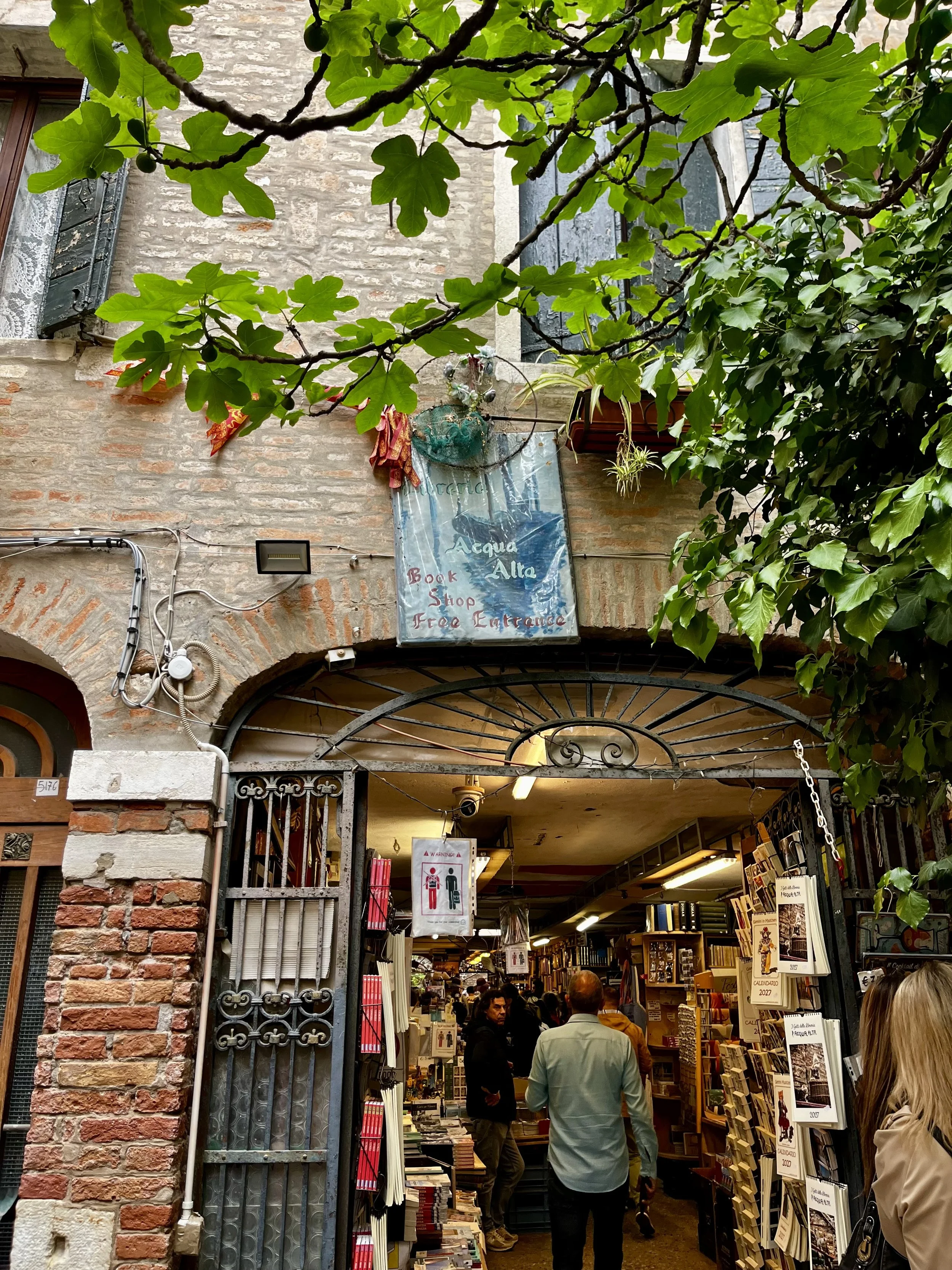 Entrance to Libreria Acqua Alta bookstore in Venice with fig tree overhead