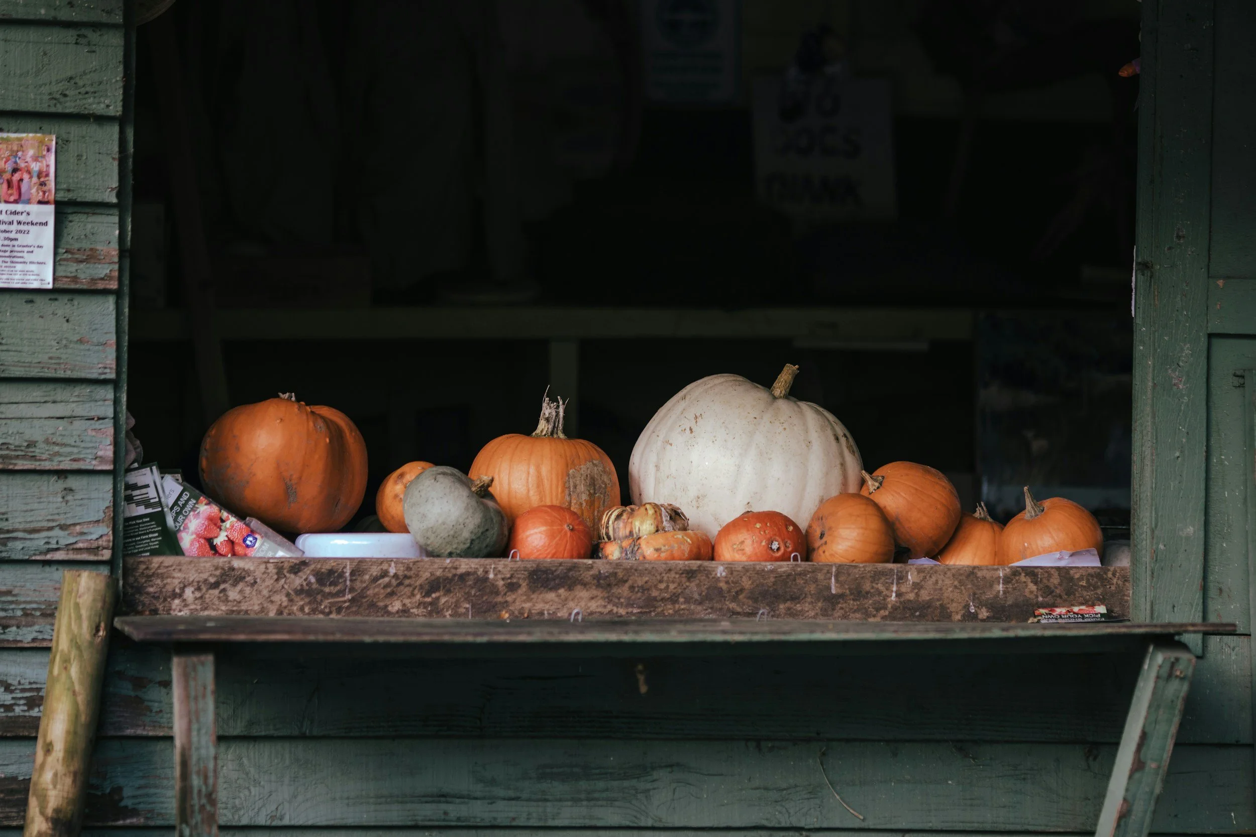 unsplash-image-2LiVAoyjfqA.jpg