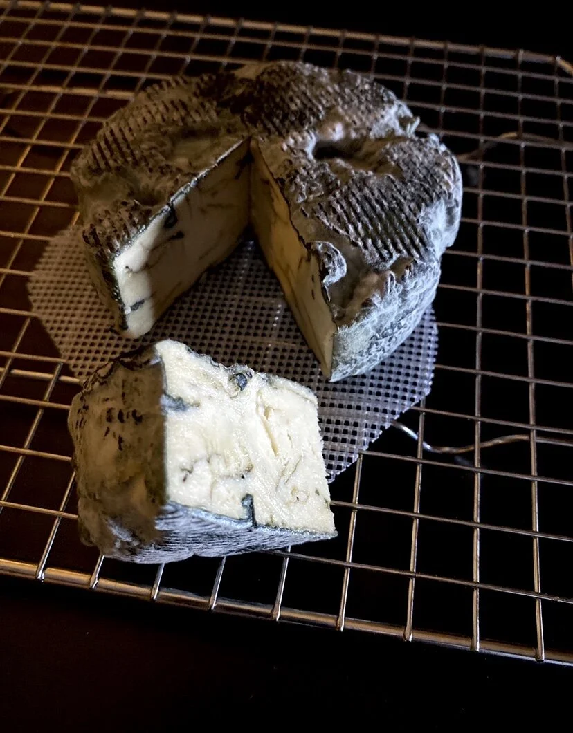 Building Cashew Cheese Caves In My Brooklyn Apartment