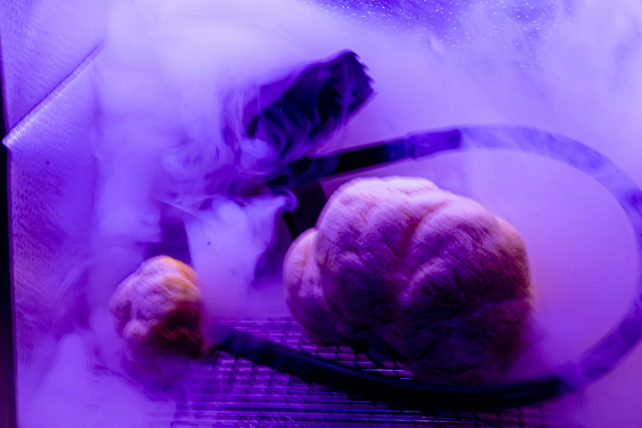 A Detailed Exploration Behind the Plant-Based Community’s Affinity For Smoked Foods