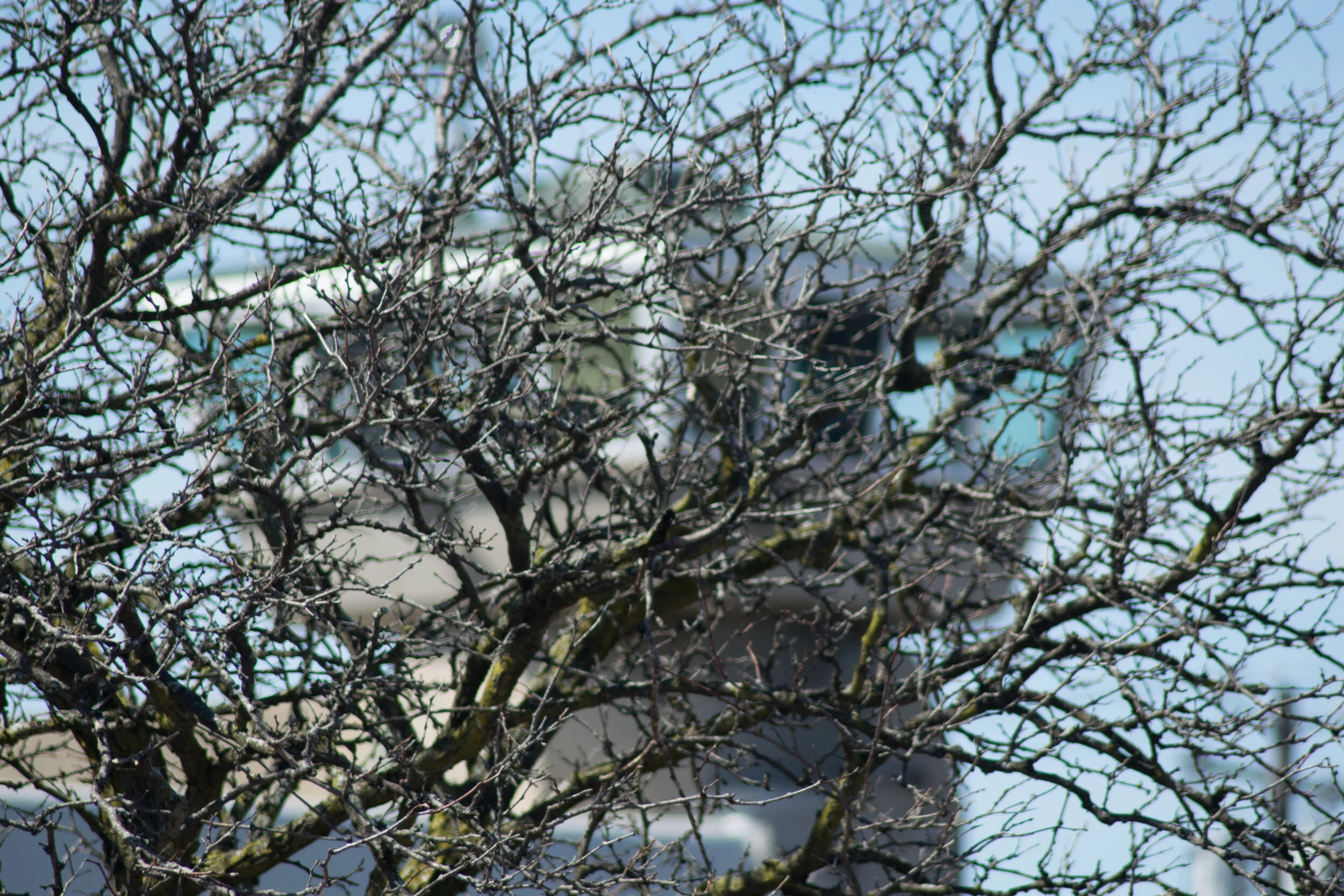 DSC_0056.jpg