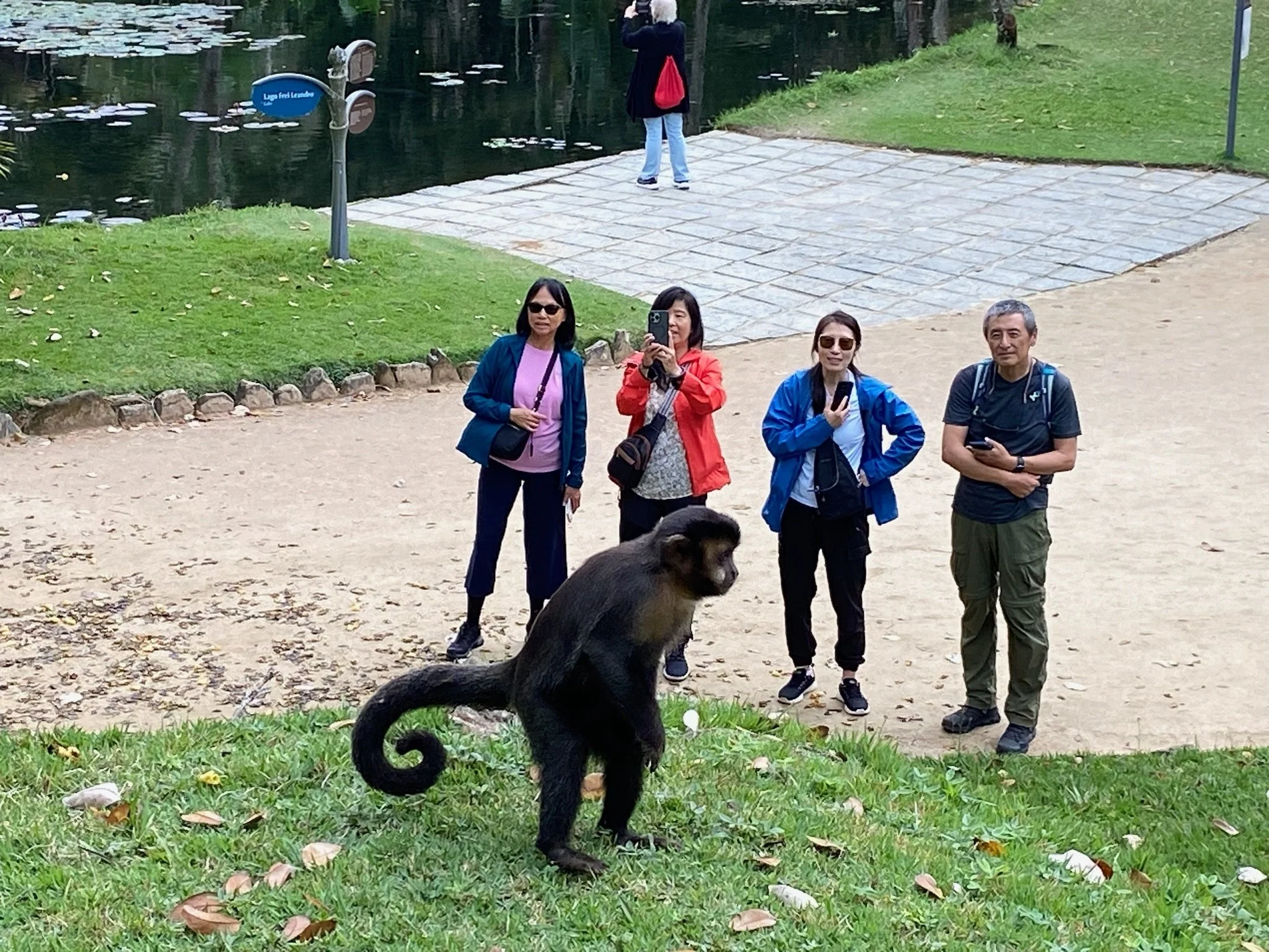 Botanic Garden &amp; Going Home 植物园与回家了