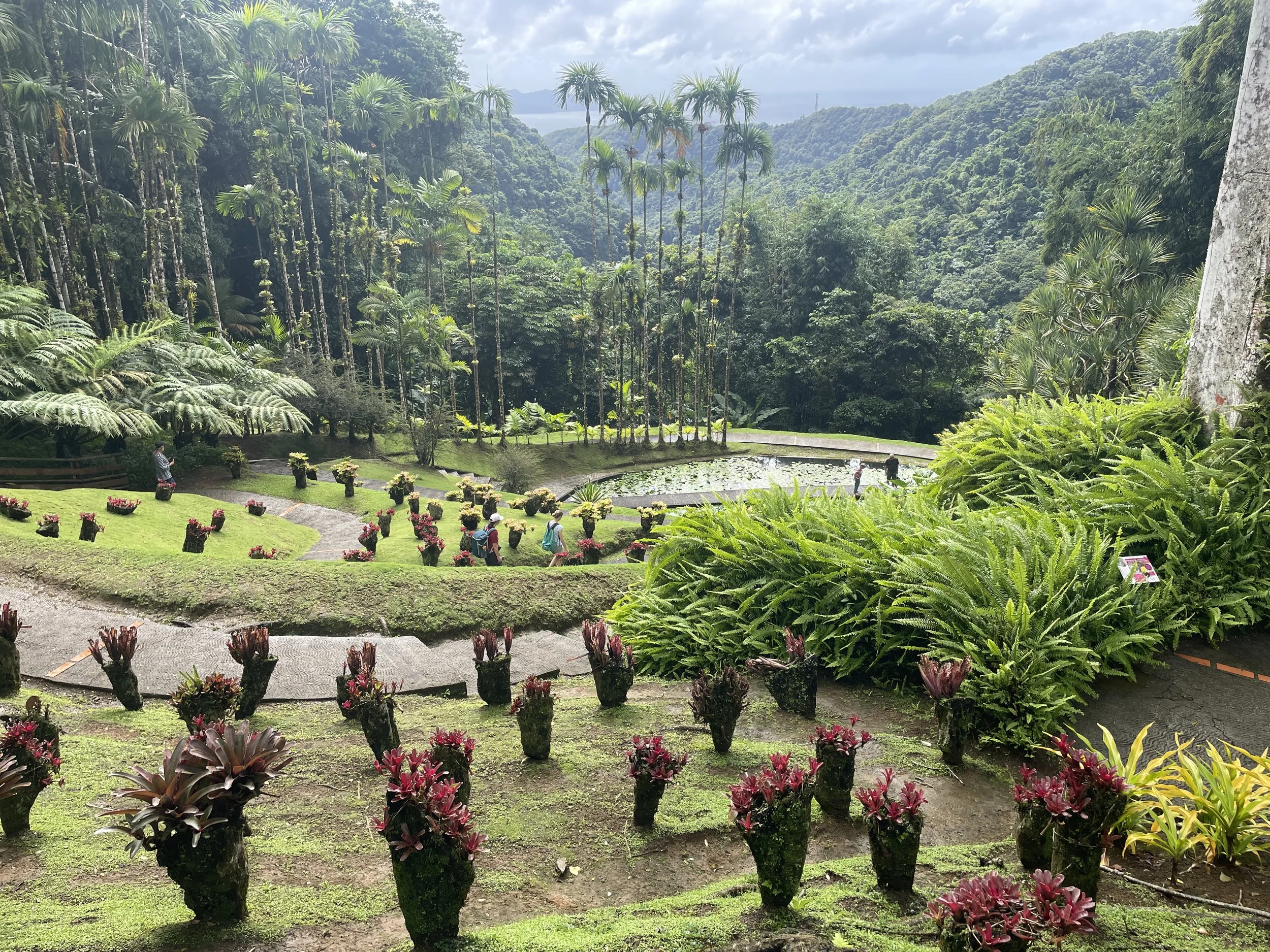 Fort-de-France, Martinique 法兰西堡, 马提尼克岛