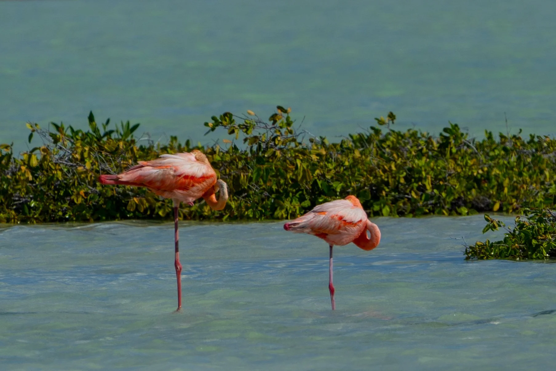Bonaire, Netherlands 博奈尔岛, 荷兰
