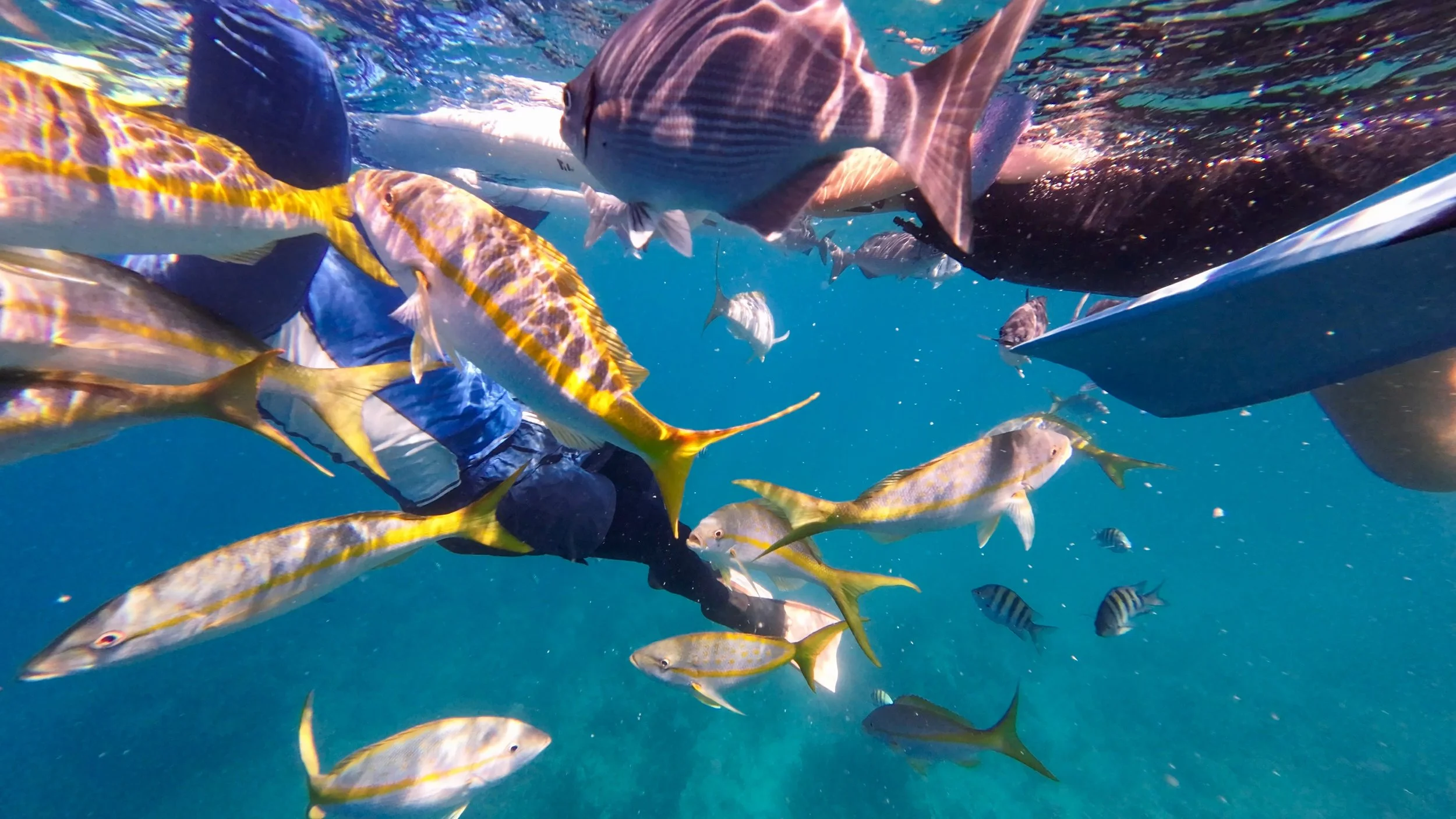Grand Turk, Turks and Caicos Islands 大特克岛，特克斯和凯科斯群岛