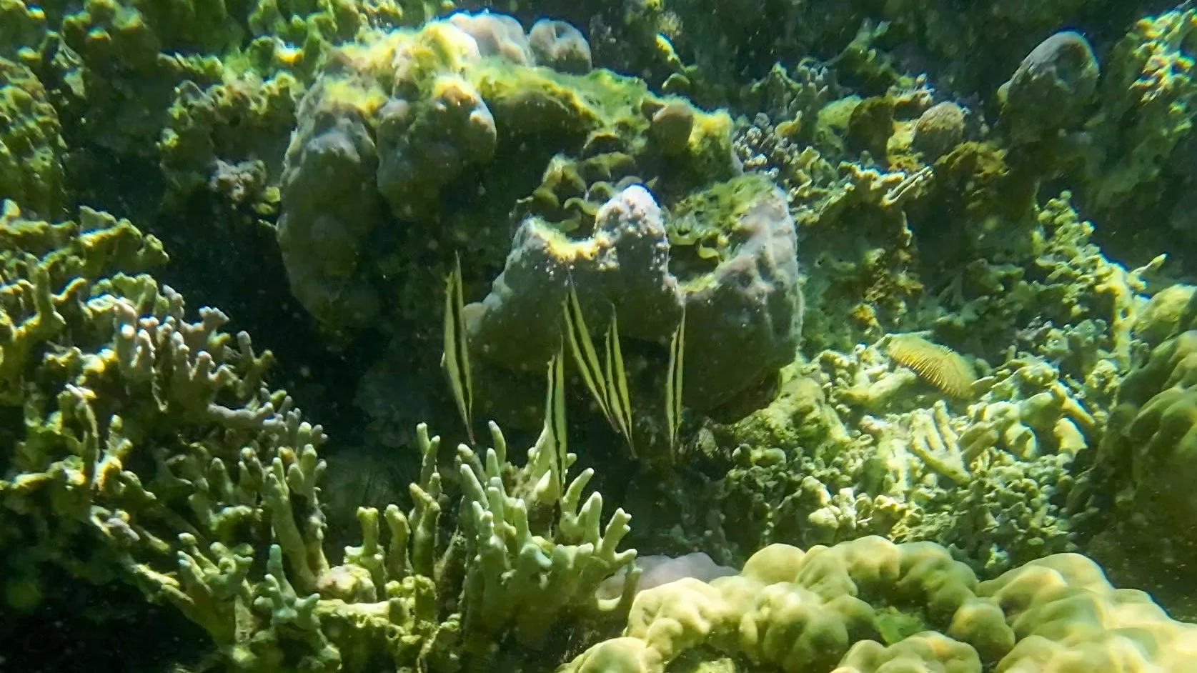 Coron Island, Philippines 菲律宾，科隆港