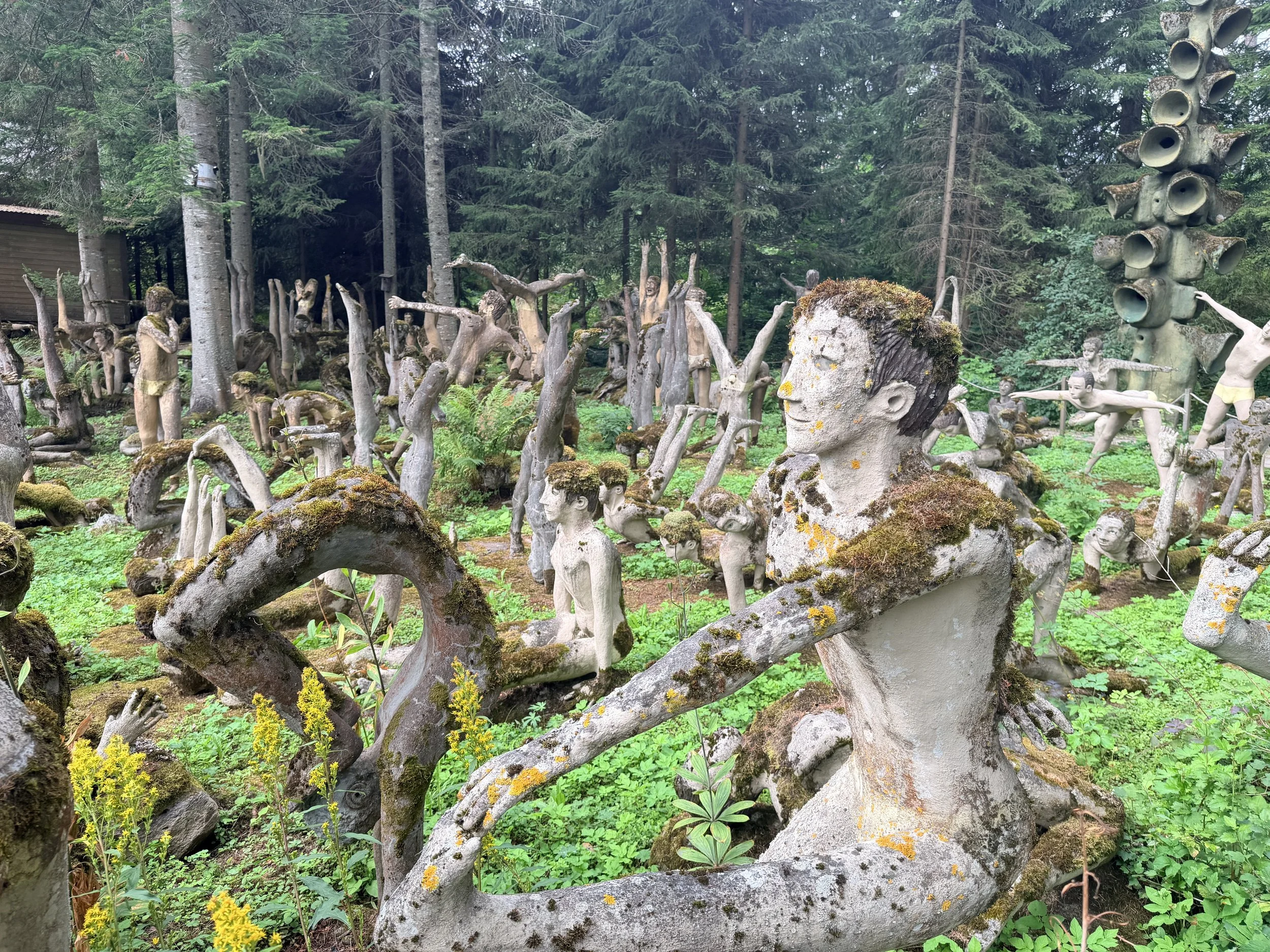 Outsider Artist and UNESCO Mill 民间艺术与世界遗产造纸厂