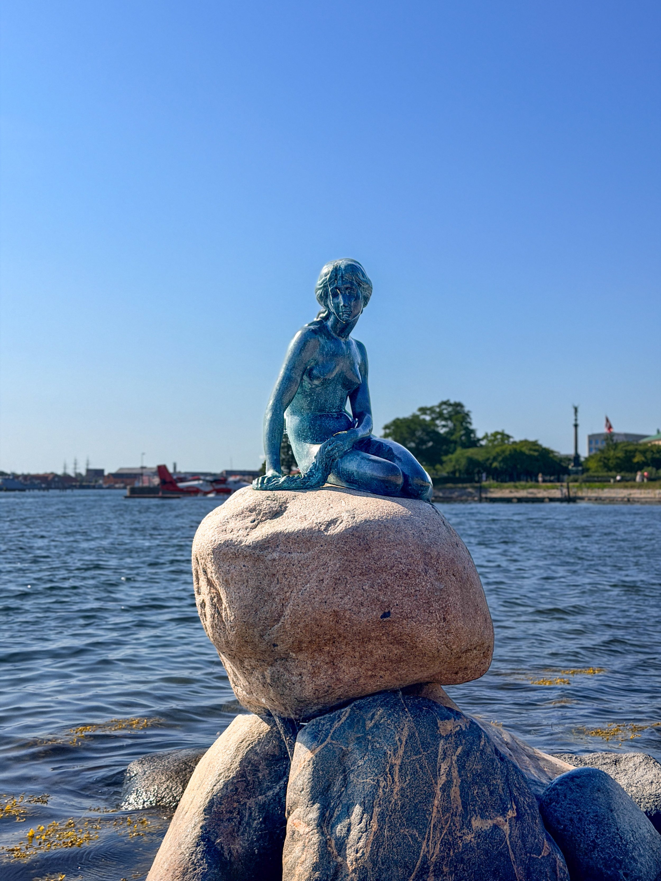A Surprise Hello at the Little Mermaid 美人鱼前的巧遇