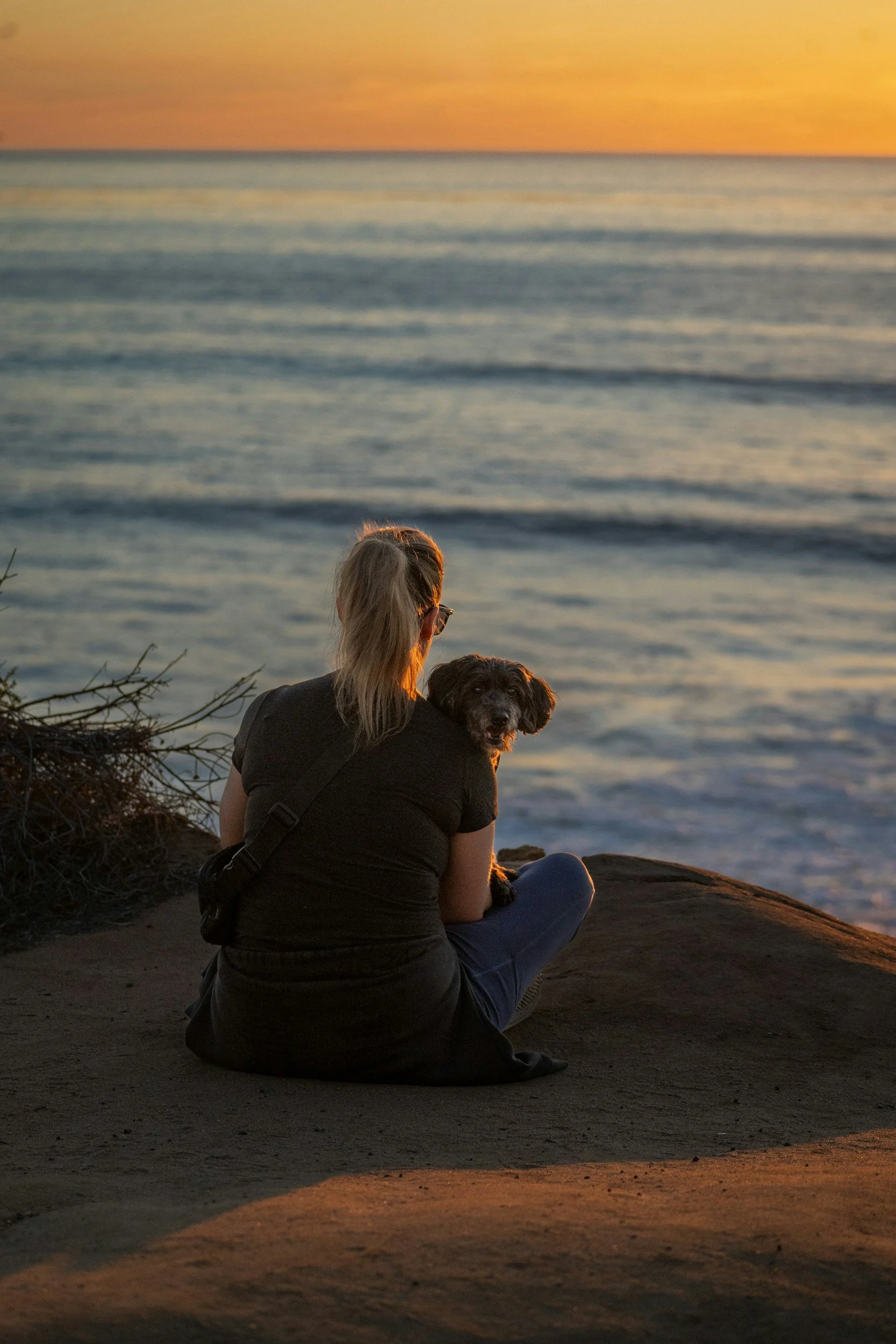 Therapy for Pet loss in Atlanta