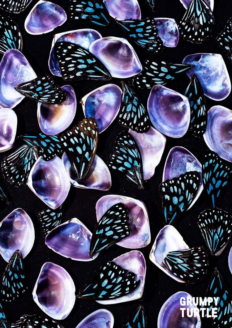 FineArtPrints_GreatBarrierReef_UnderwaterPhotography_GrumpyTurtleCreative-13.jpg