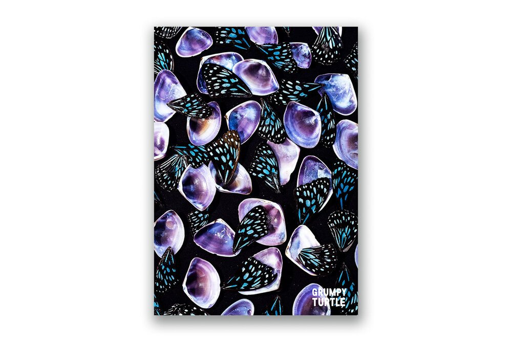 FineArtPrints_GreatBarrierReef_UnderwaterPhotography_GrumpyTurtleCreative-42.jpg