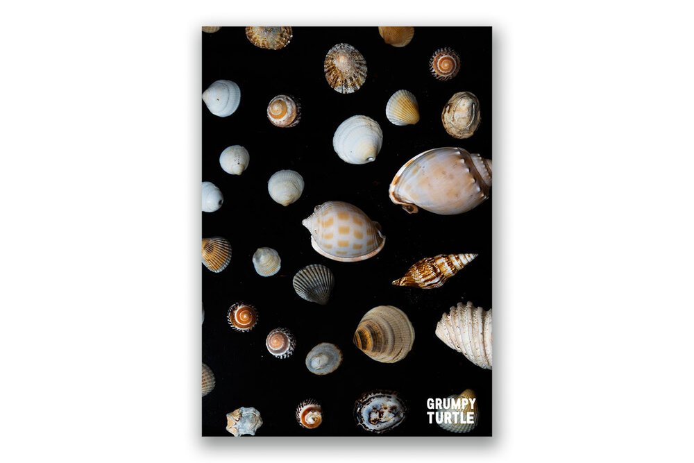 FineArtPrints_GreatBarrierReef_UnderwaterPhotography_GrumpyTurtleCreative-34.jpg