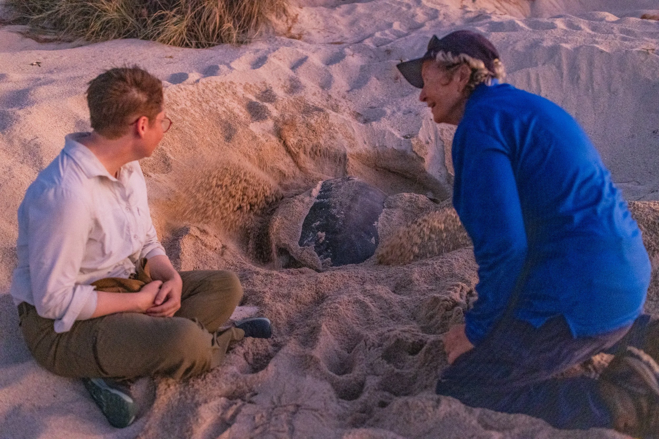 CAT25_TURTLES_ROSEMARY ISLAND56.jpg