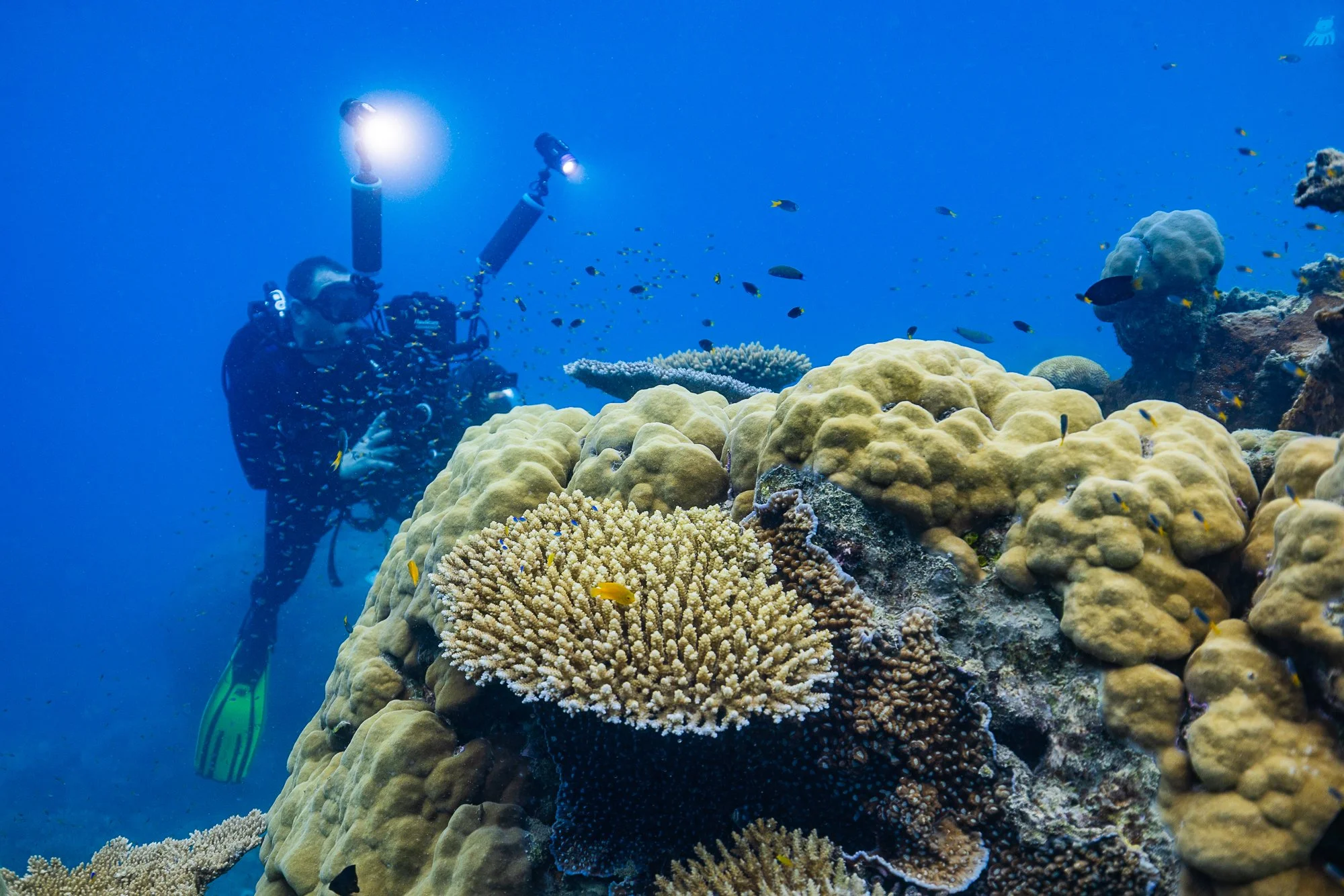 ELLISON REEF_AMCS_Must Credit Harriet Spark-8.jpg