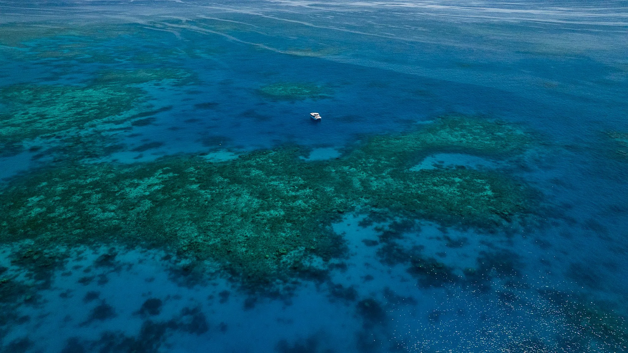 ELLISON REEF_AMCS_Must Credit Harriet Spark-128.jpg