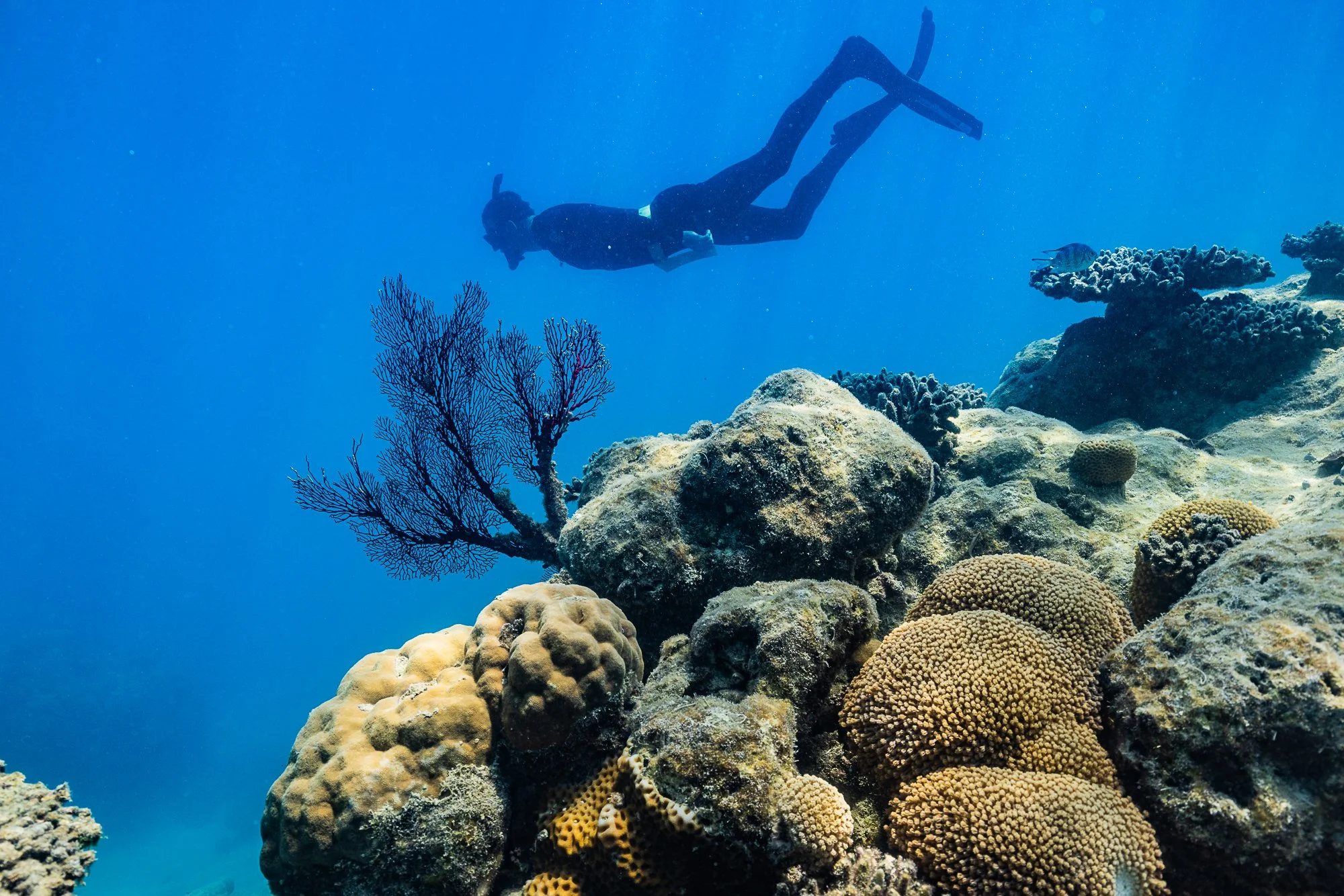 ELLISON REEF_AMCS_Must Credit Harriet Spark-145.jpg