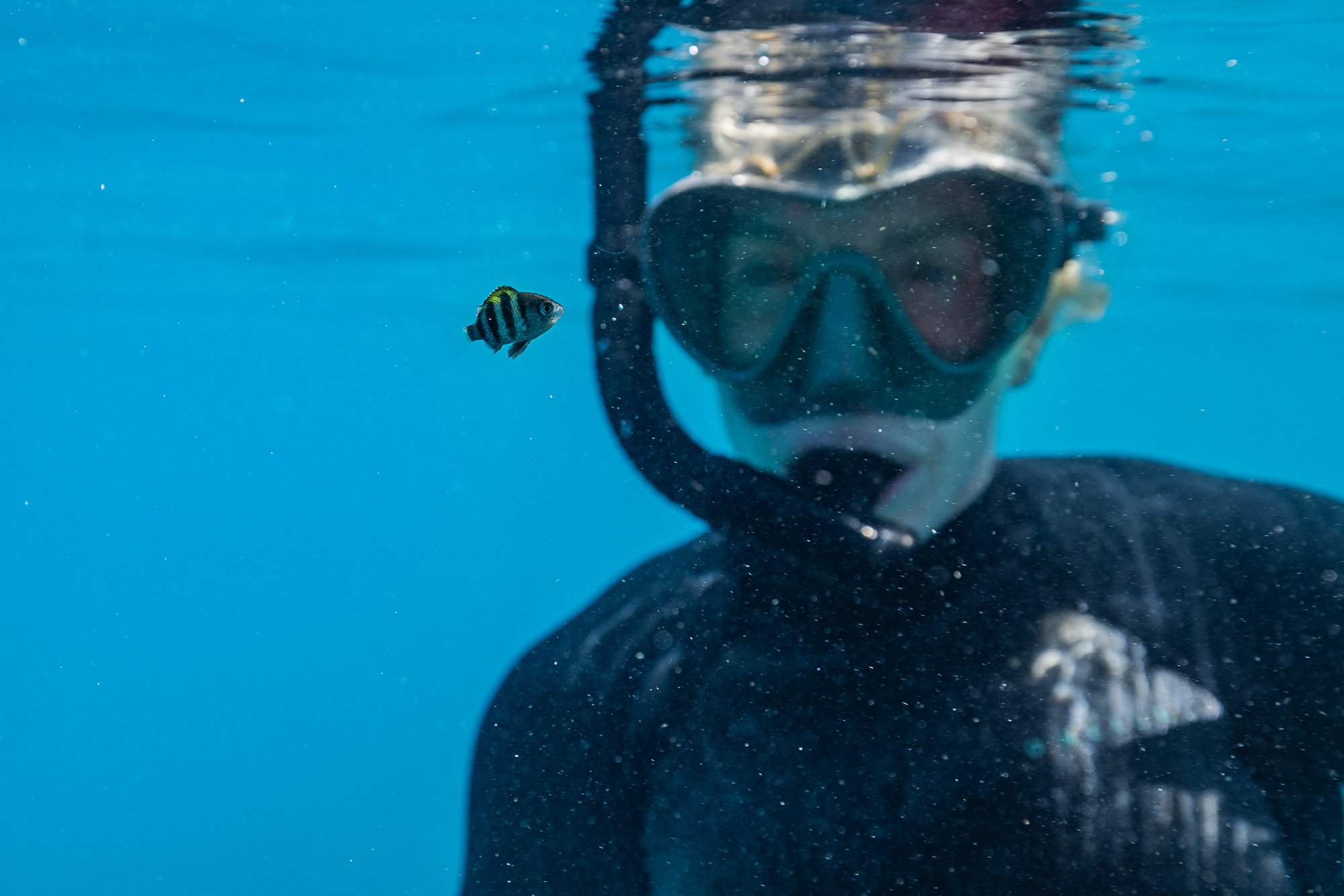 ELLISON REEF_AMCS_Must Credit Harriet Spark-170.jpg