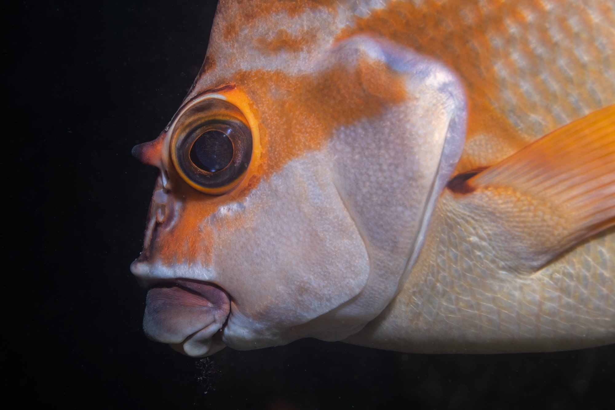 PORT STEPHENS_FLY POINT_LOW RES_HARRIET SPARK-6902.jpg