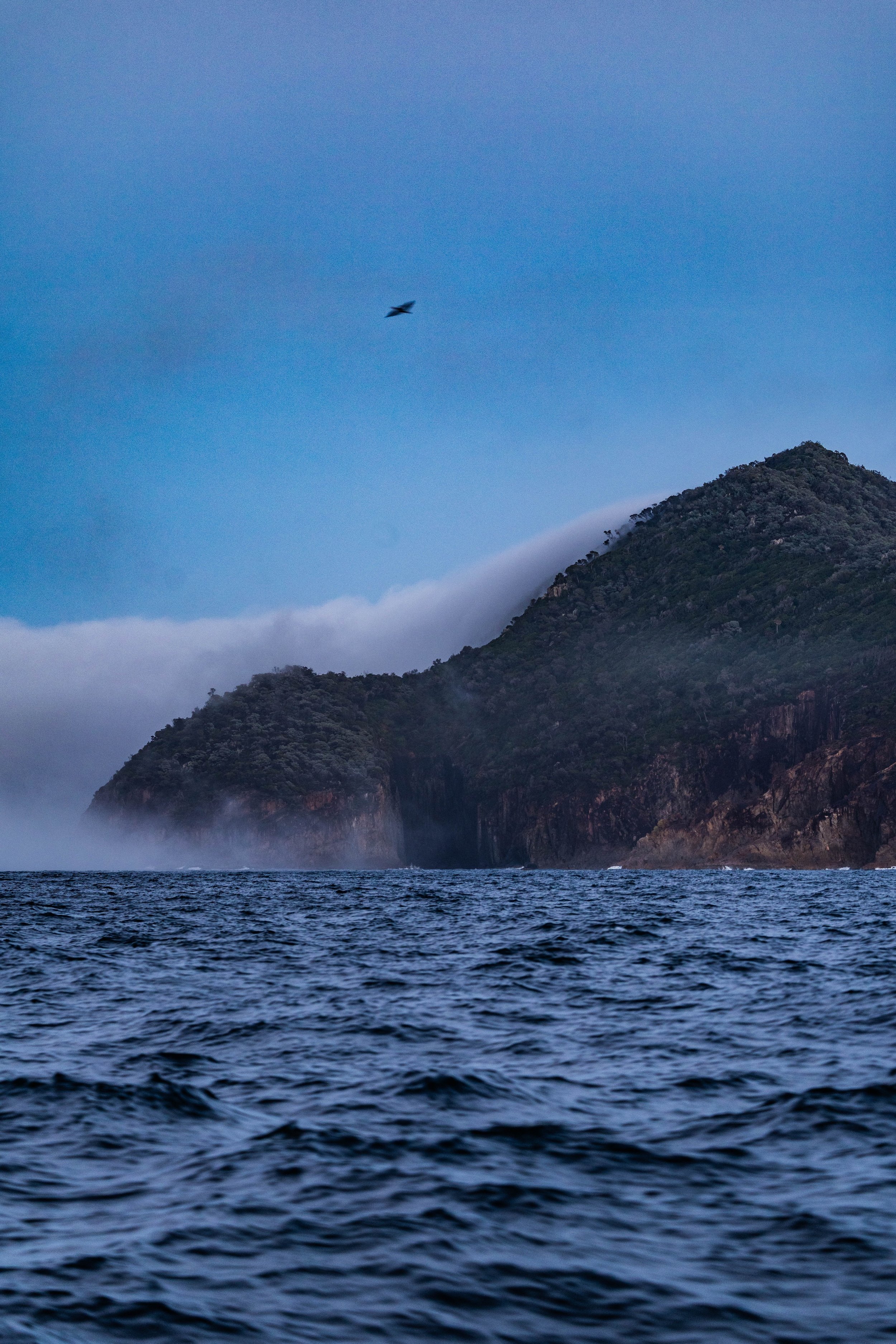 PORT STEPHENS_TOPSIDE_LOW RES_HARRIET SPARK-7072.jpg