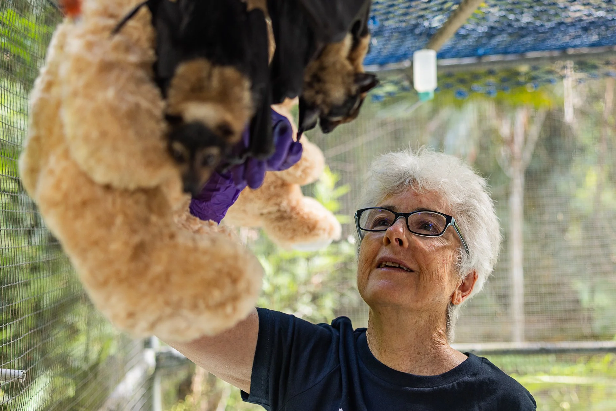 Must Credit Harriet Spark vox tolga bat hospital-16061.jpg