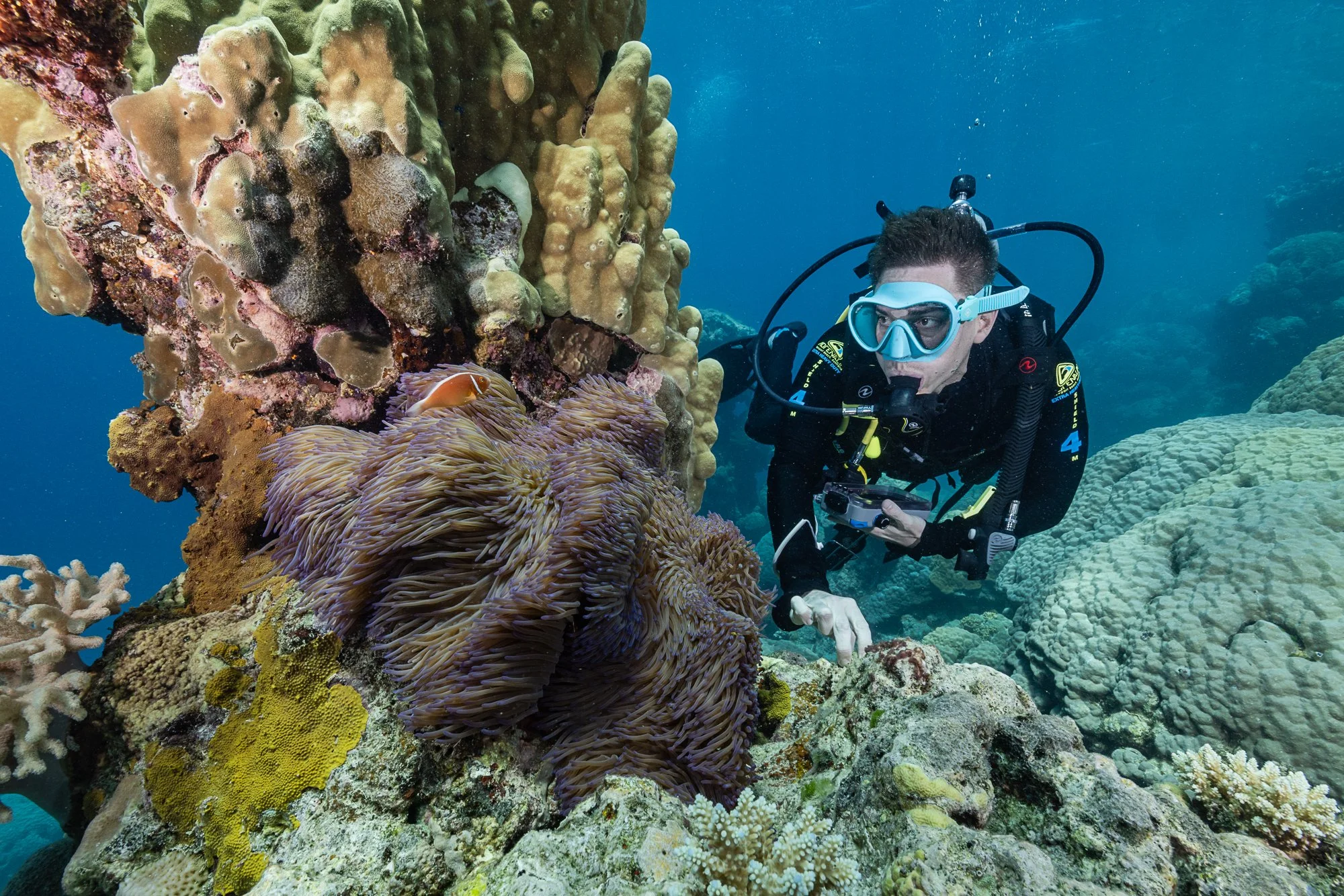 Must Credit Harriet Spark vox great barrier reef-16554.jpg