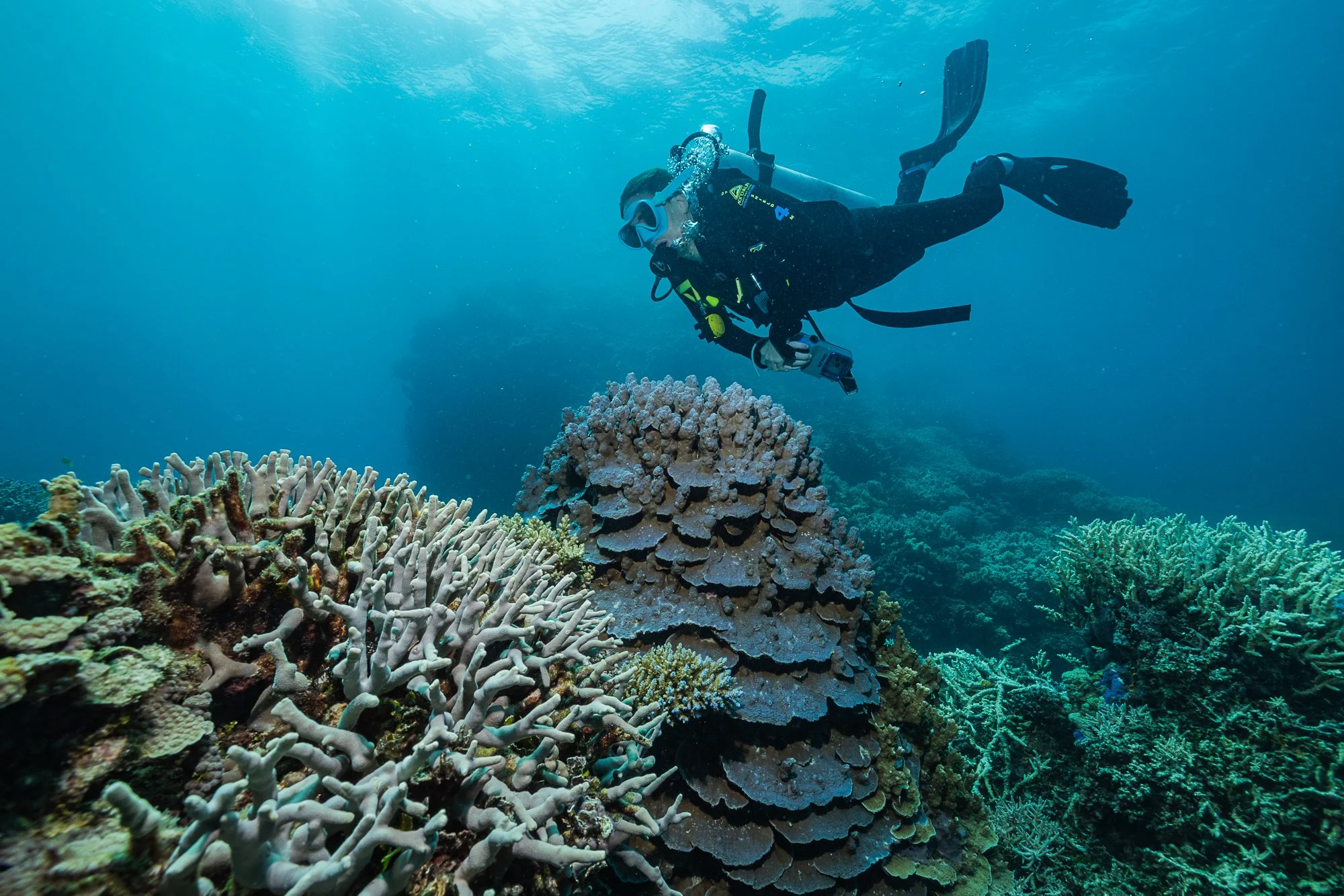 Must Credit Harriet Spark vox great barrier reef-16849.jpg