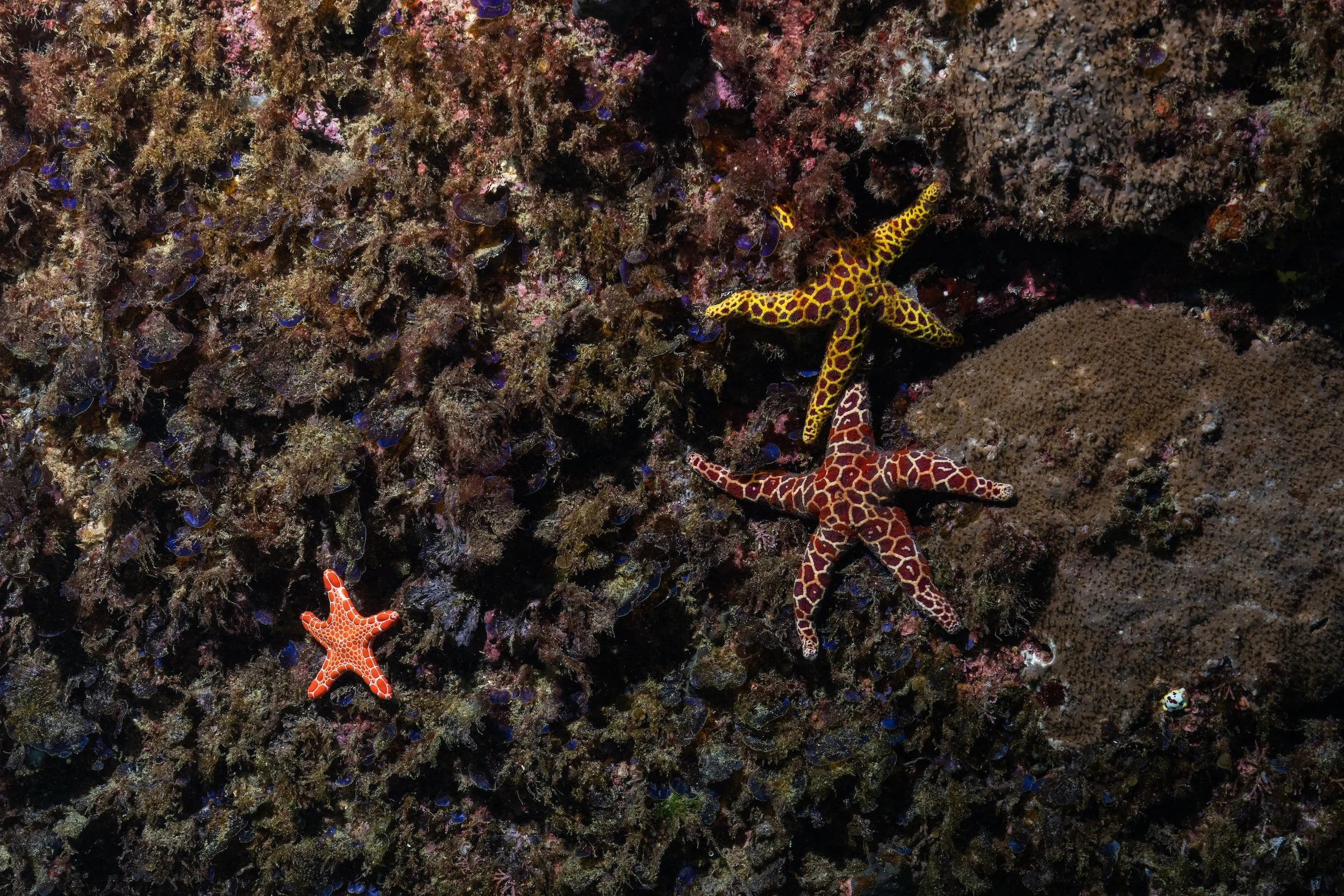 12MAY2026_JERVIS BAY_DOCKS_HARRIET SPARK-6214.jpg