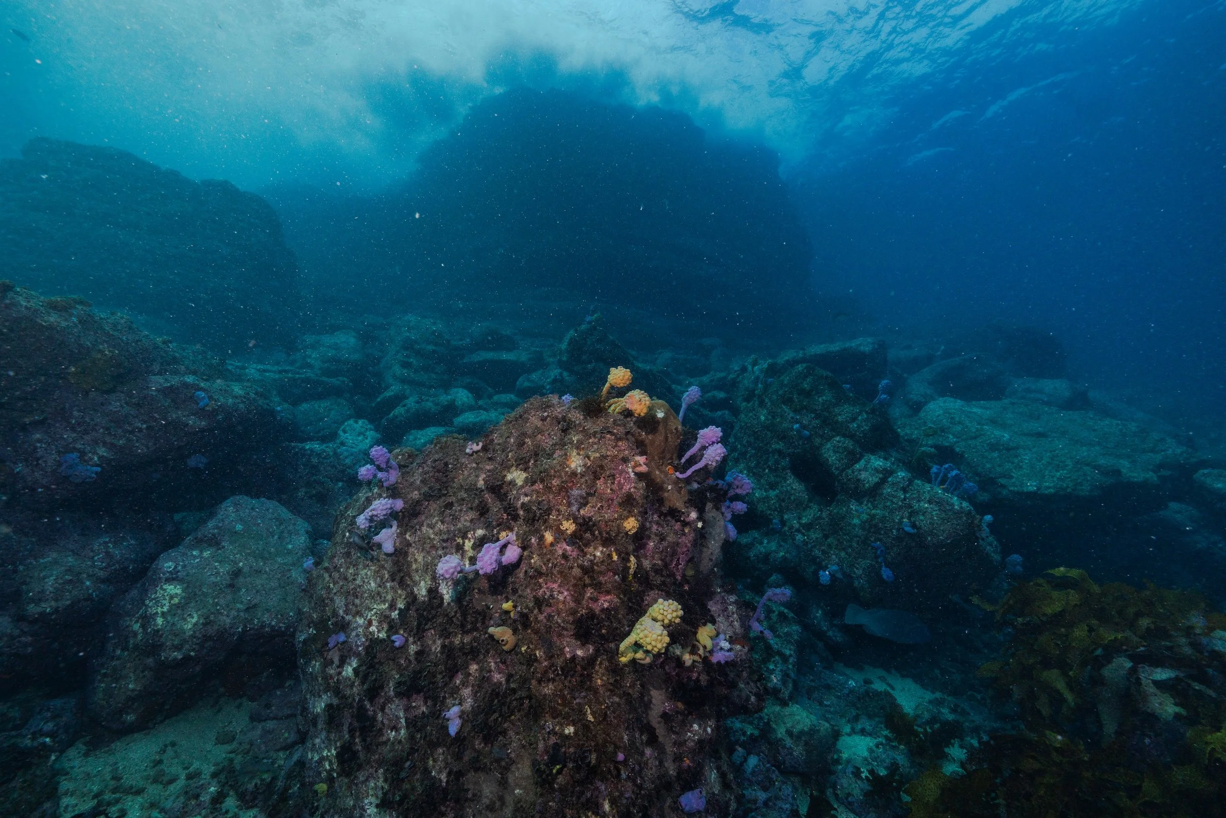 12MAY2026_JERVIS BAY_DOCKS_HARRIET SPARK-6201.jpg