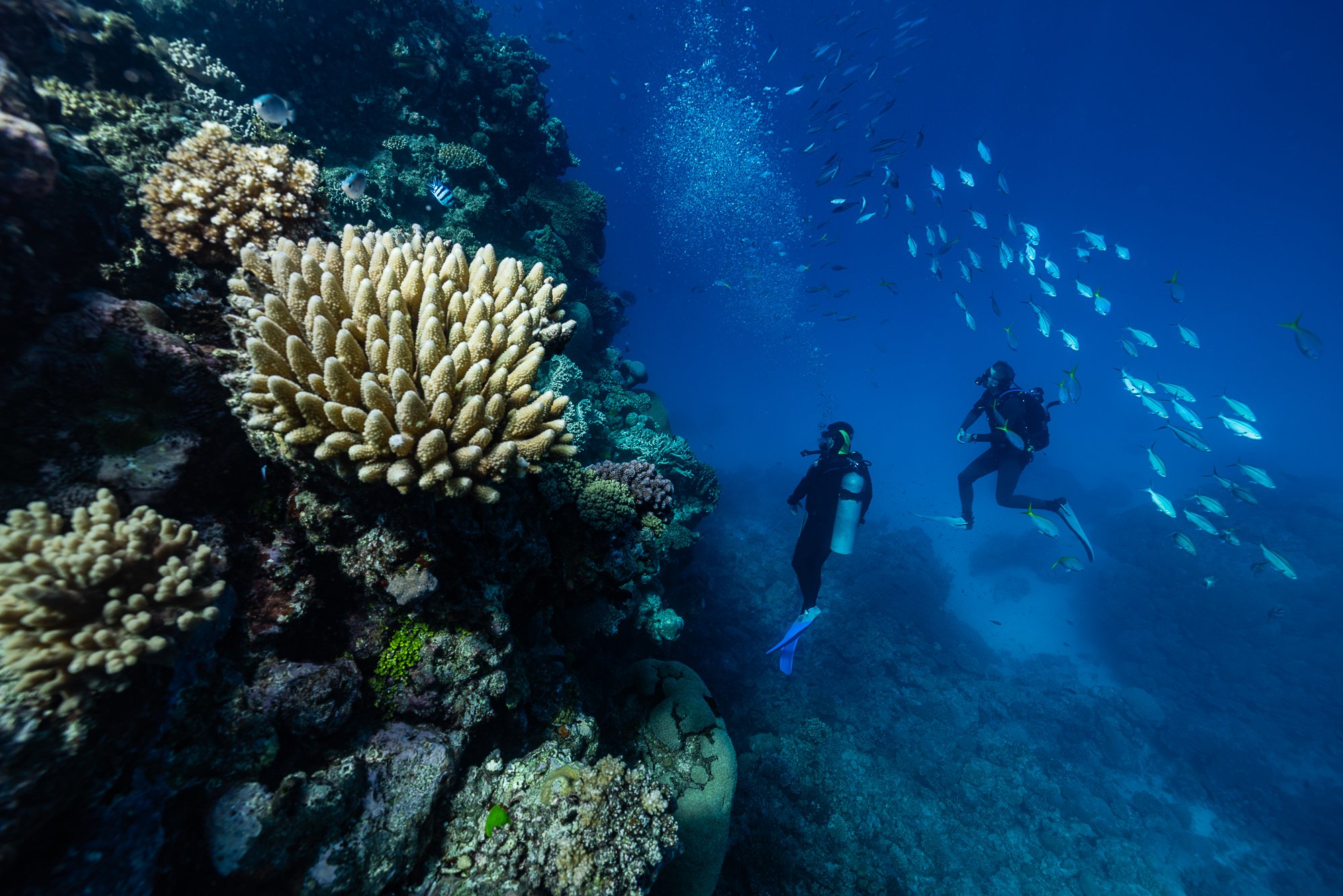 Must Credit Harriet Spark vox great barrier reef-16928.jpg