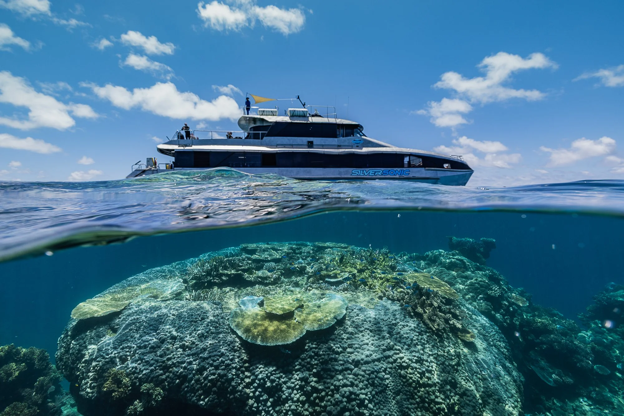 Must Credit Harriet Spark vox great barrier reef-17468.jpg