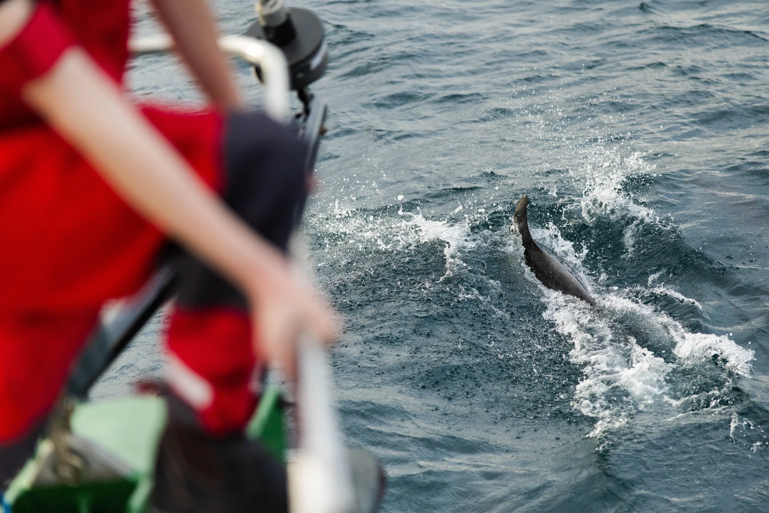 PORT STEPHENS_TOPSIDE_LOW RES_HARRIET SPARK-7393.jpg