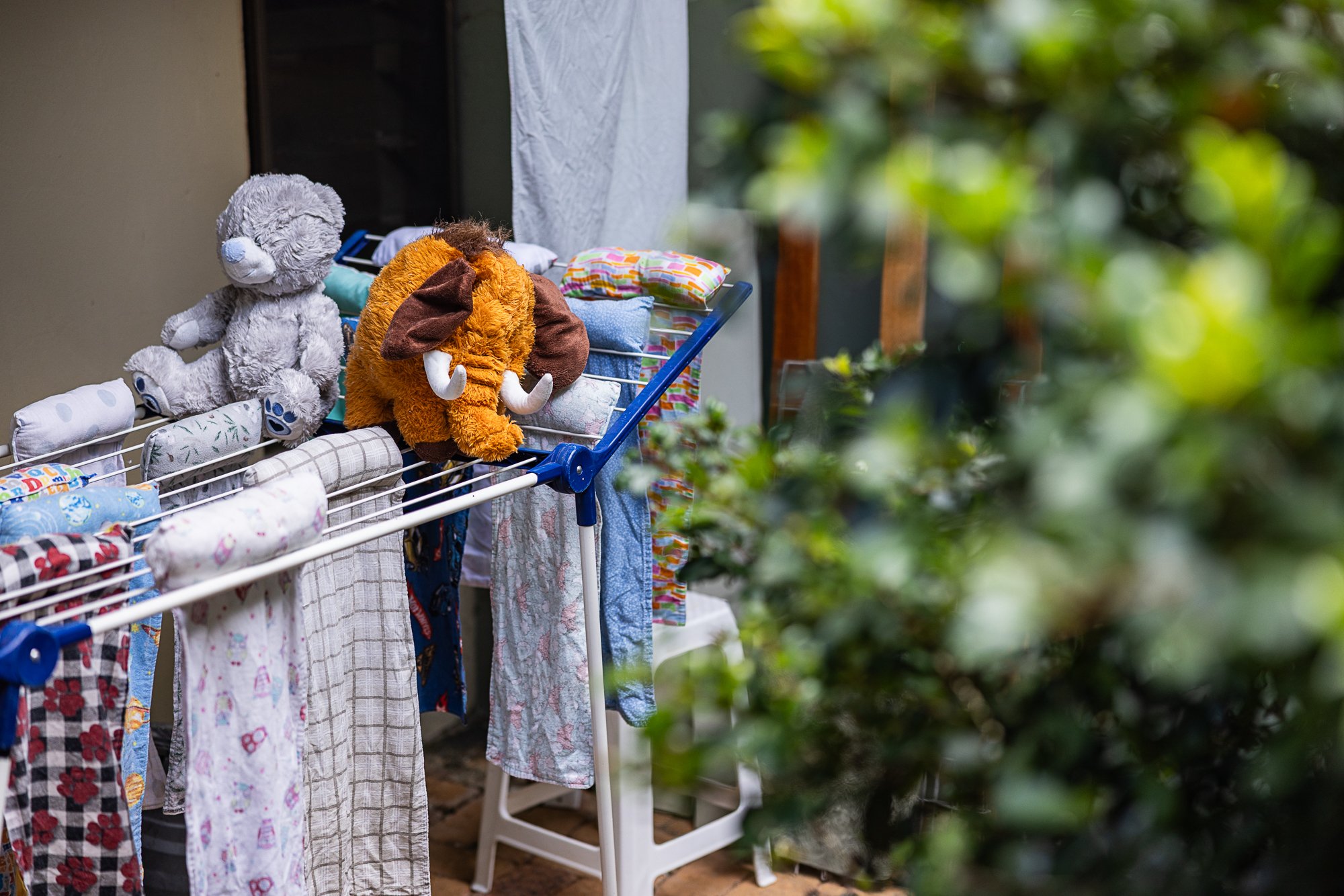 Must Credit Harriet Spark vox tolga bat hospital-16099.jpg