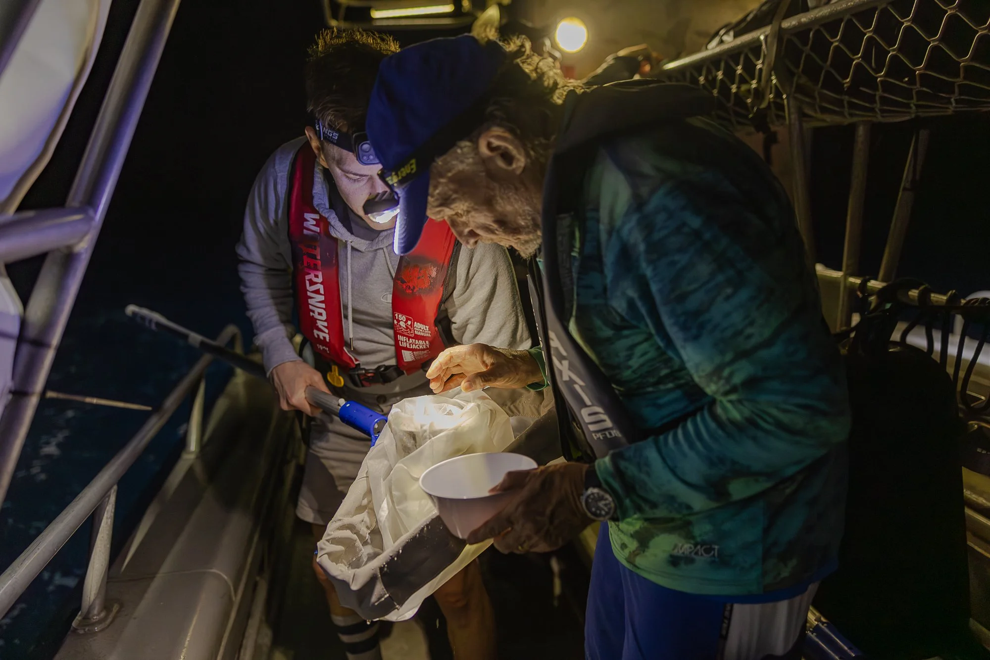 Must Credit Harriet Spark vox great barrier reef-12786.jpg