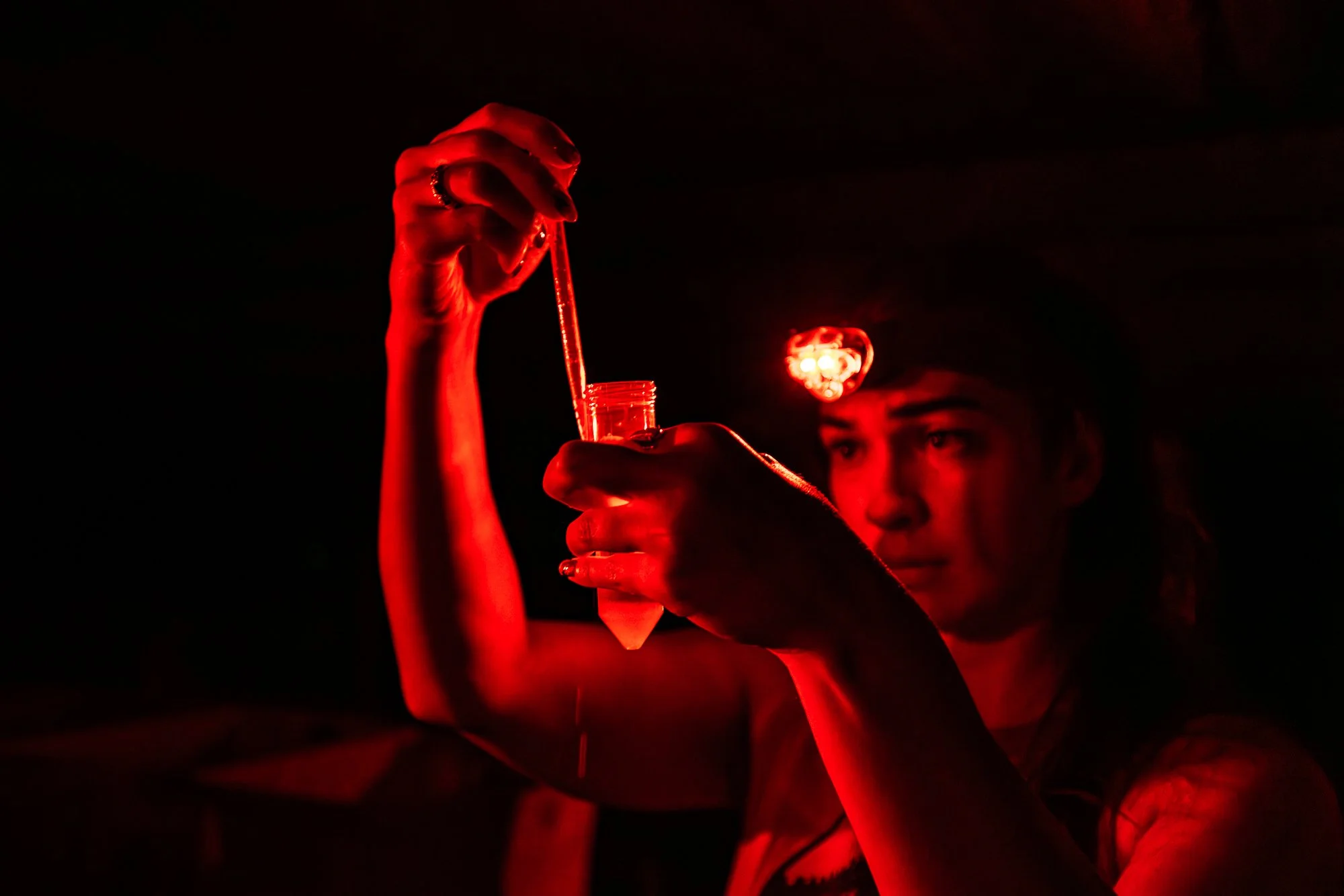 Must Credit Harriet Spark vox great barrier reef-25528.jpg