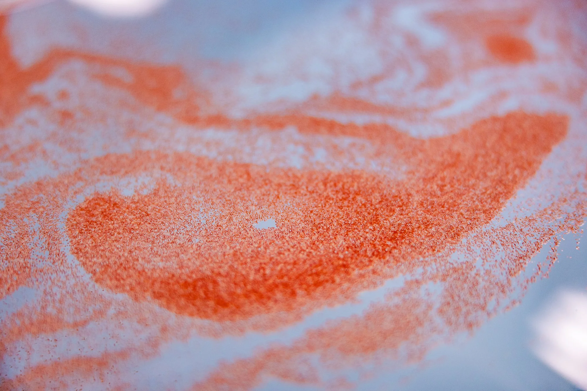 Must Credit Harriet Spark vox great barrier reef-13188.jpg