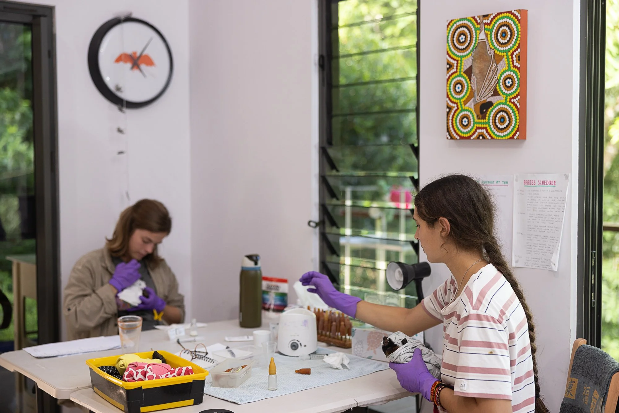 Must Credit Harriet Spark vox tolga bat hospital-16358.jpg