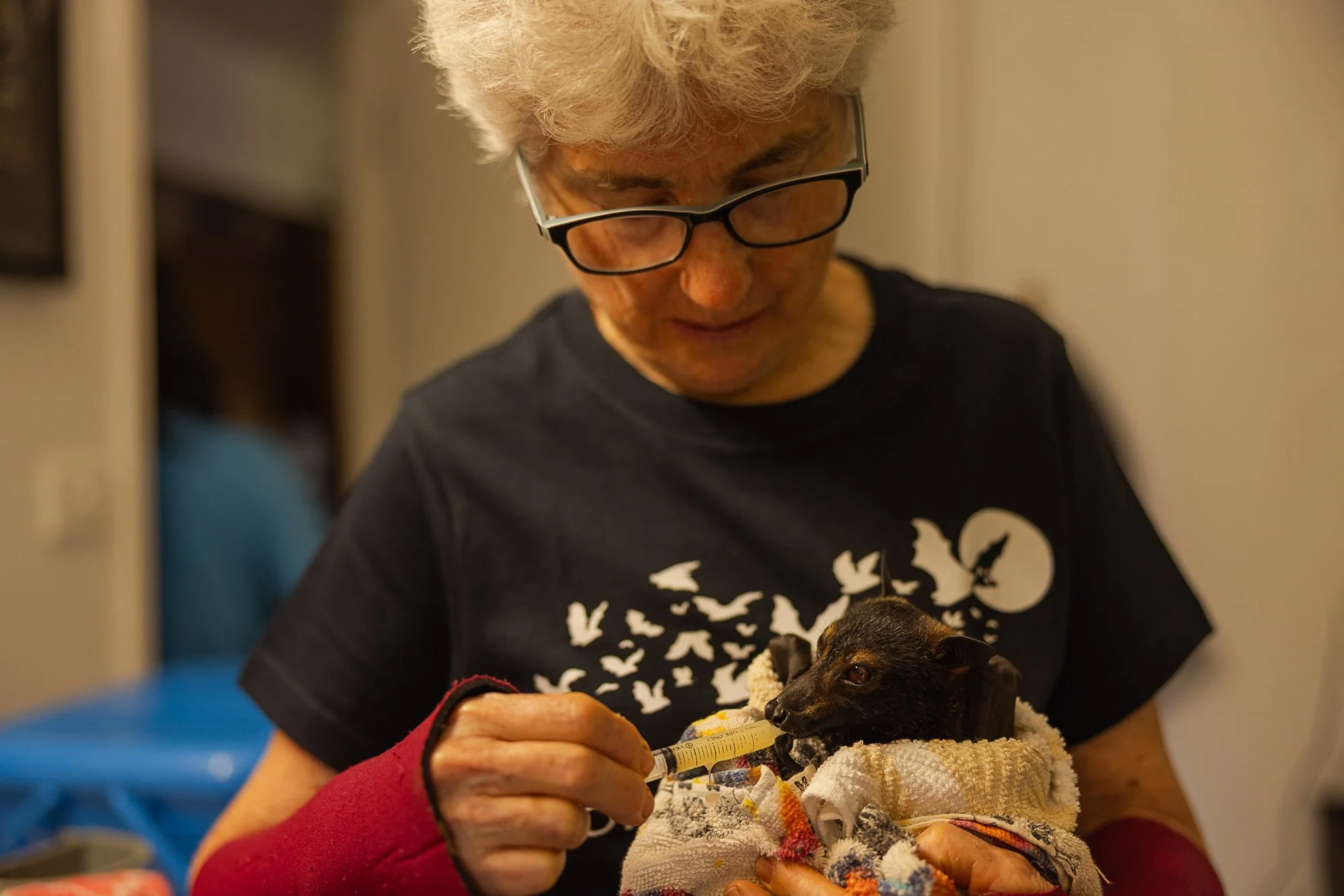 Must Credit Harriet Spark vox tolga bat hospital-16270.jpg