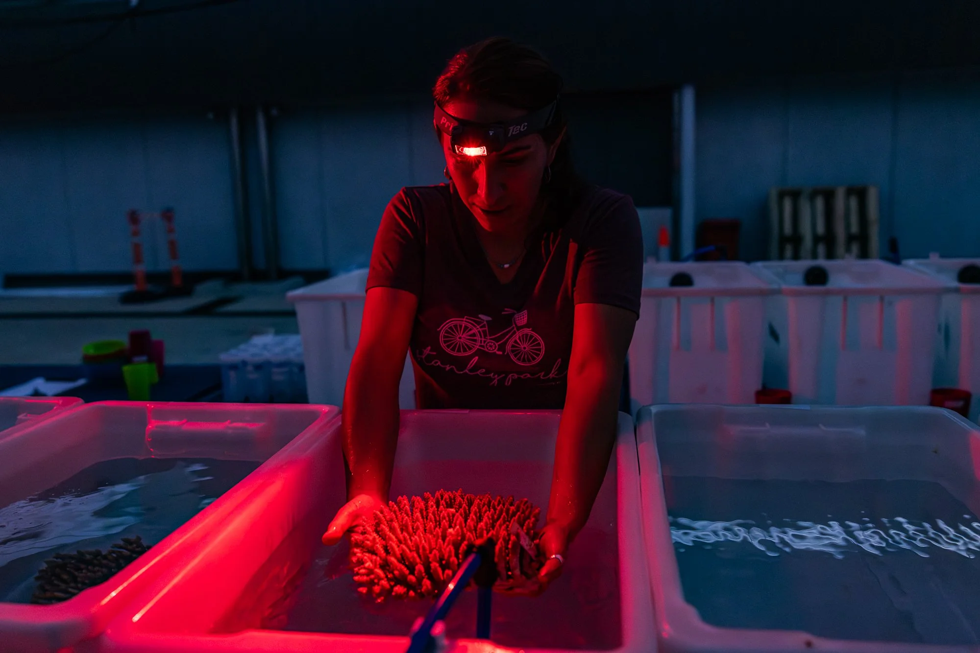 Must Credit Harriet Spark vox great barrier reef-12924.jpg