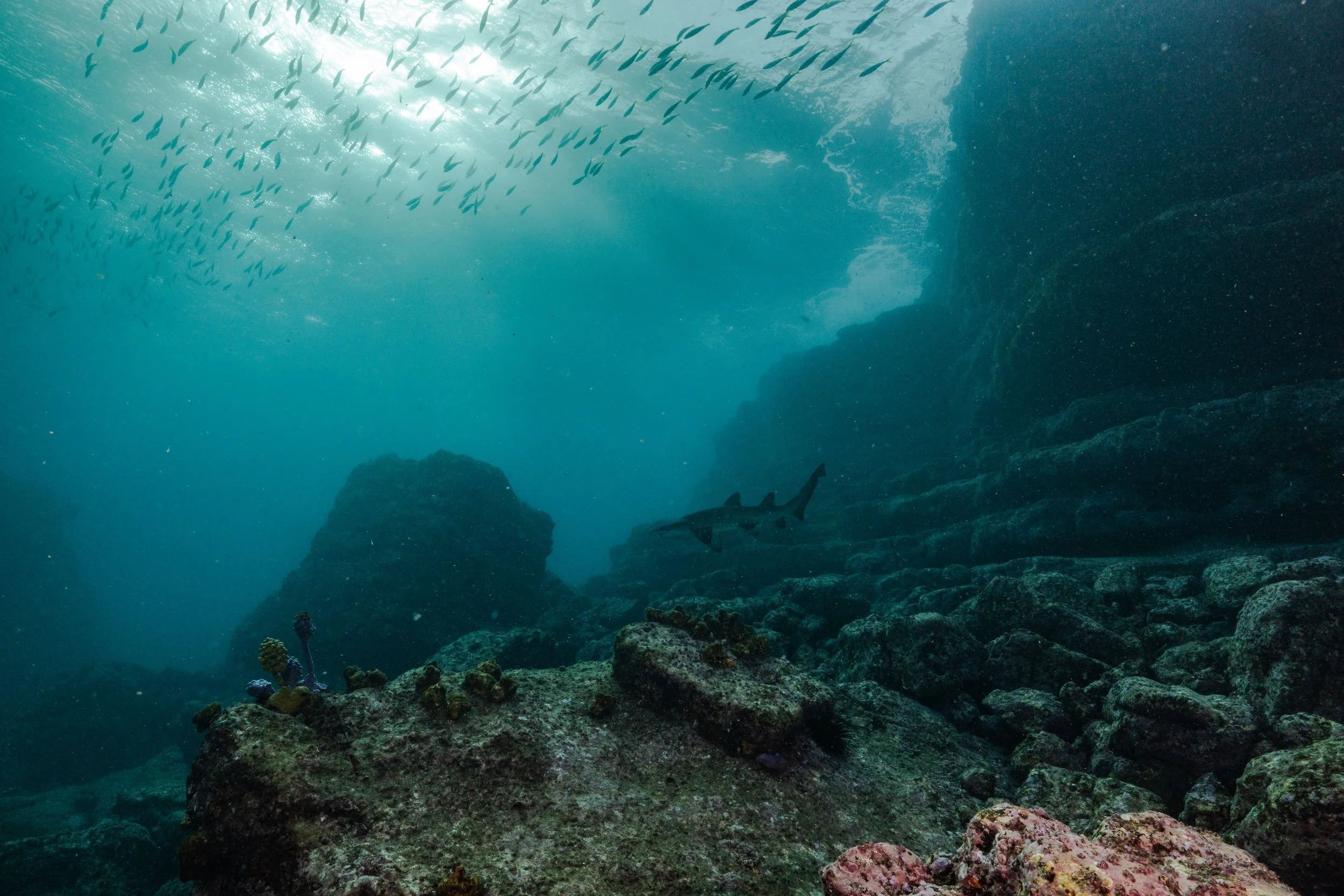 12MAY2026_JERVIS BAY_DOCKS_HARRIET SPARK-6197.jpg