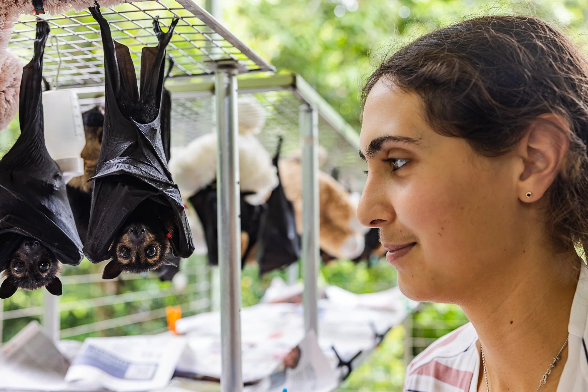 Must Credit Harriet Spark vox tolga bat hospital-15781.jpg