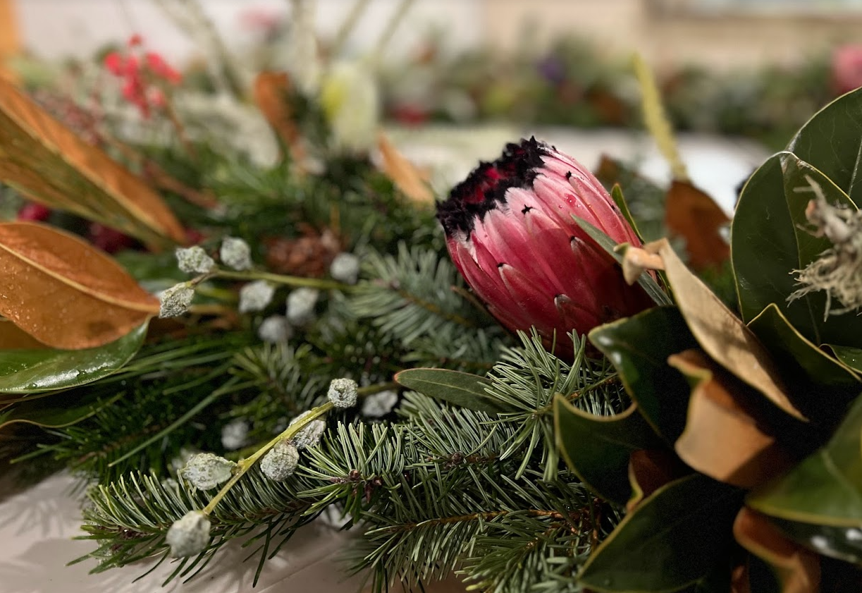 Screenshot 2023-11-14 11.04.35 AM.png