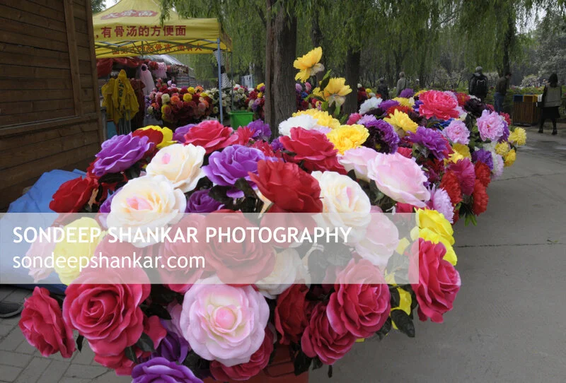 Peony Festival, Luoyang, China