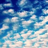 images-29.jpg