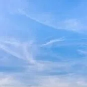 download-8.jpg